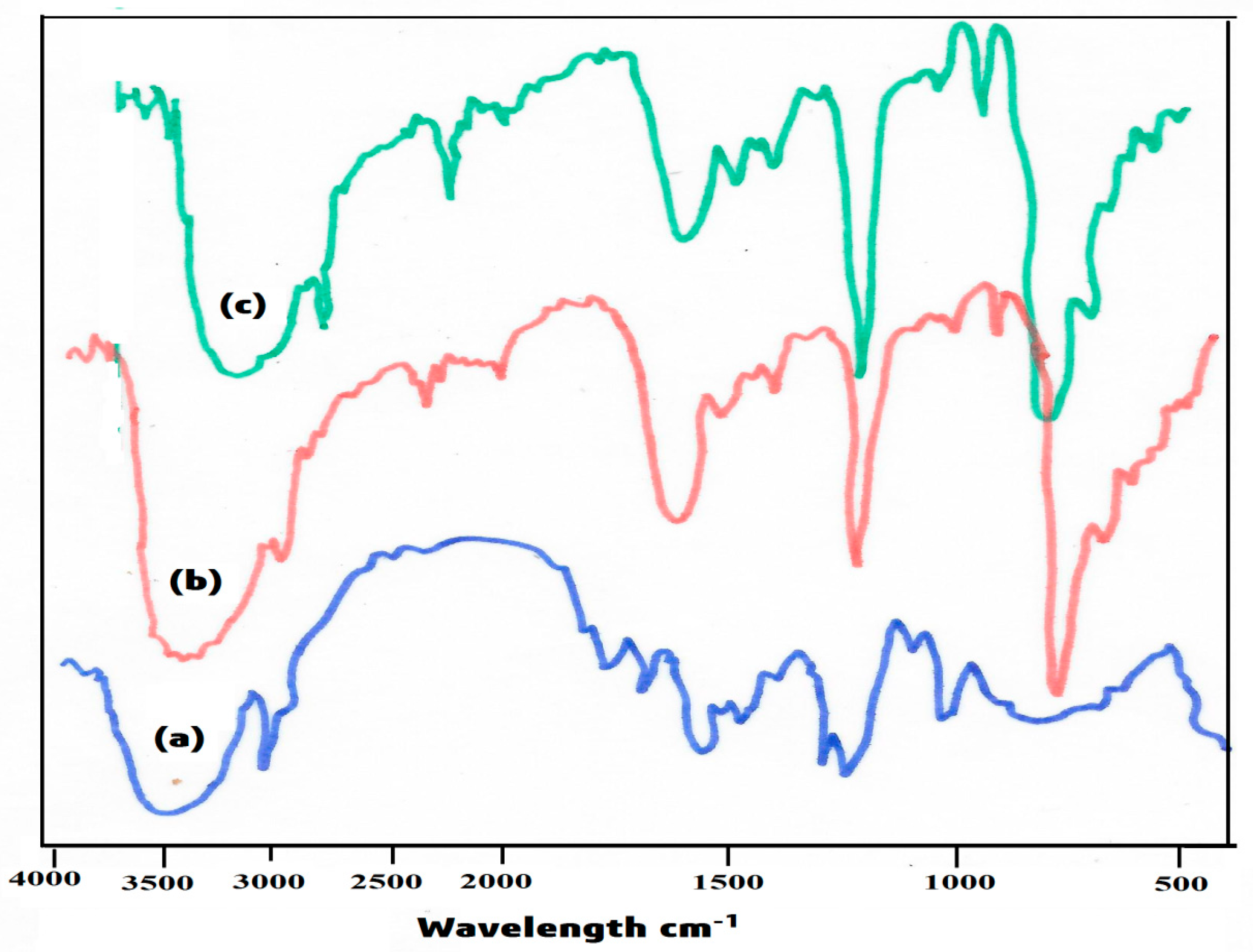 Polymers 14 00350 g002