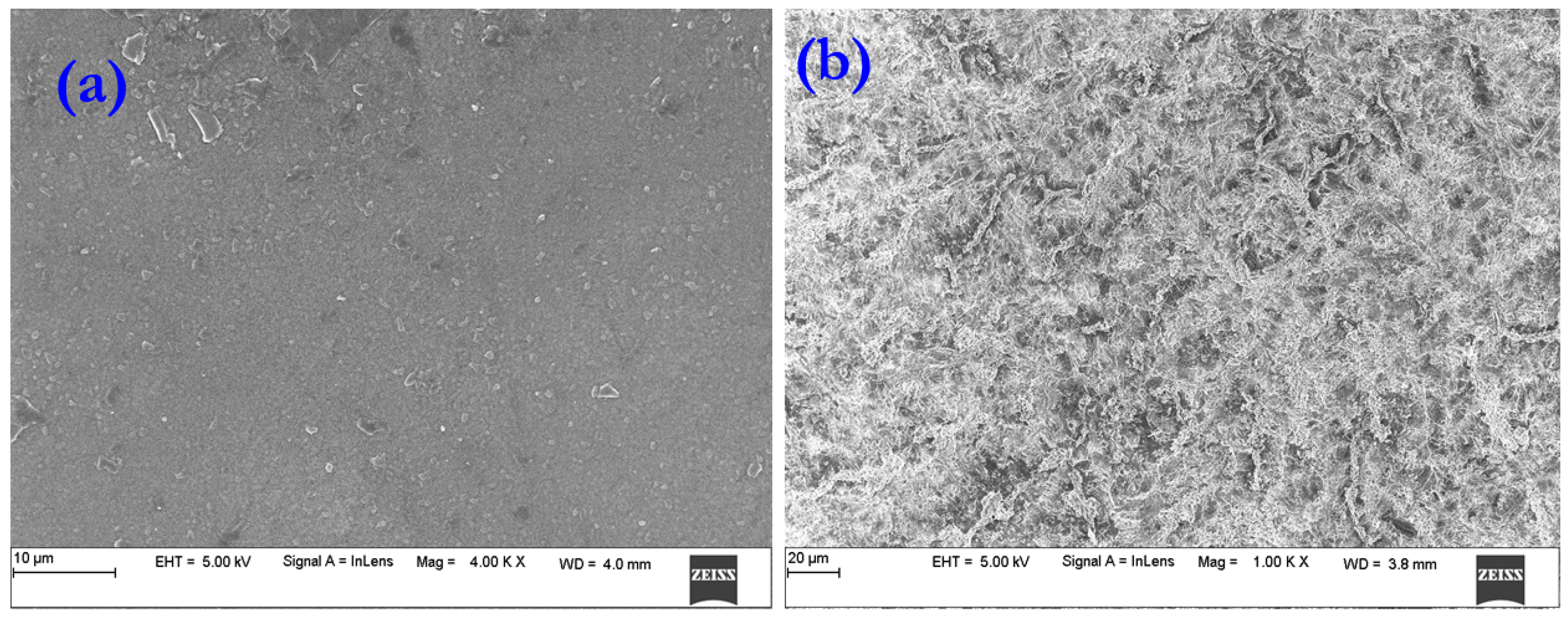 Polymers 14 00350 g004