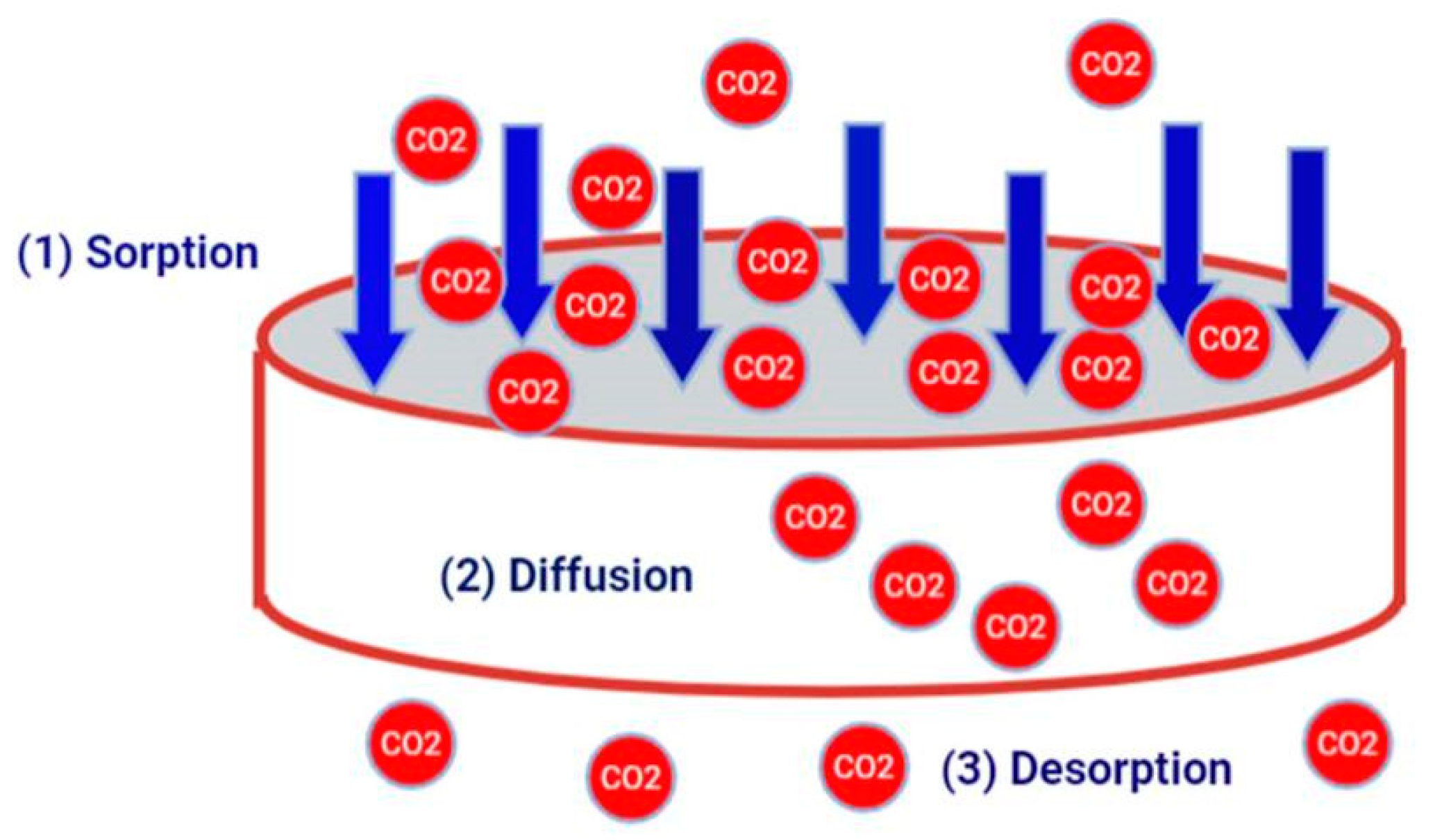Polymers 14 00350 g005