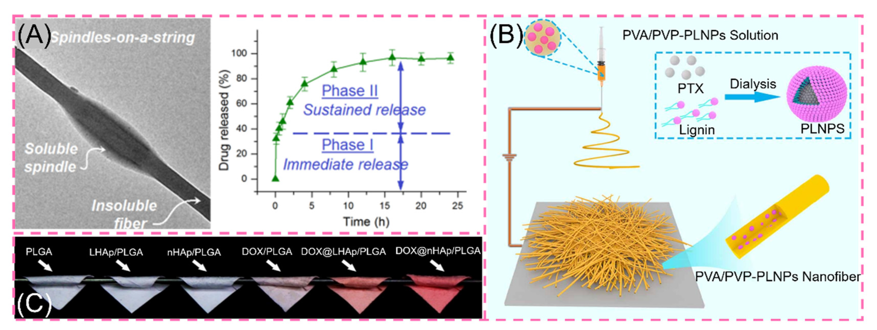 Polymers 14 00351 g006