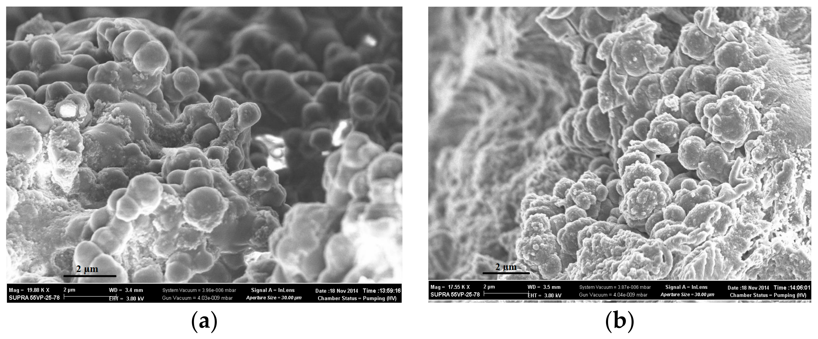 Polymers 14 00353 g003 550