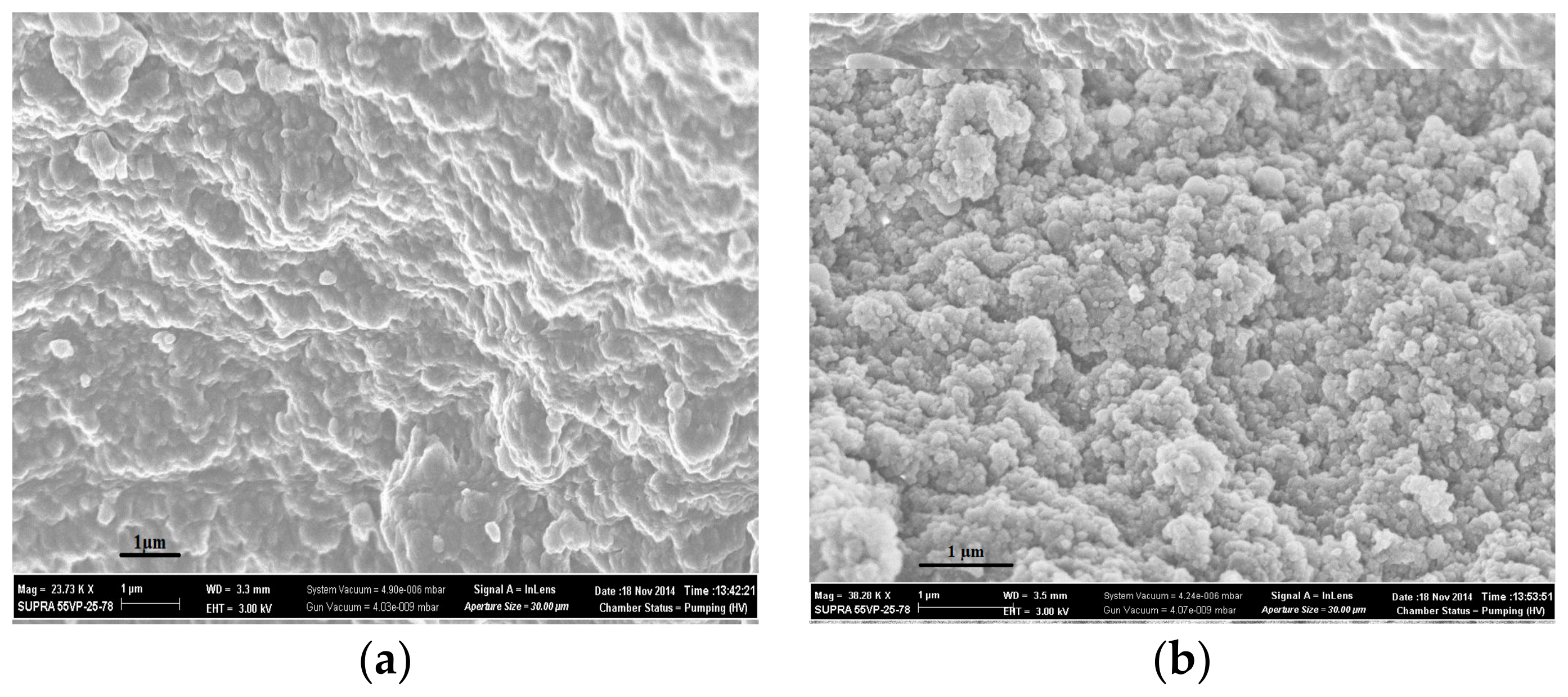 Polymers 14 00353 g004 550