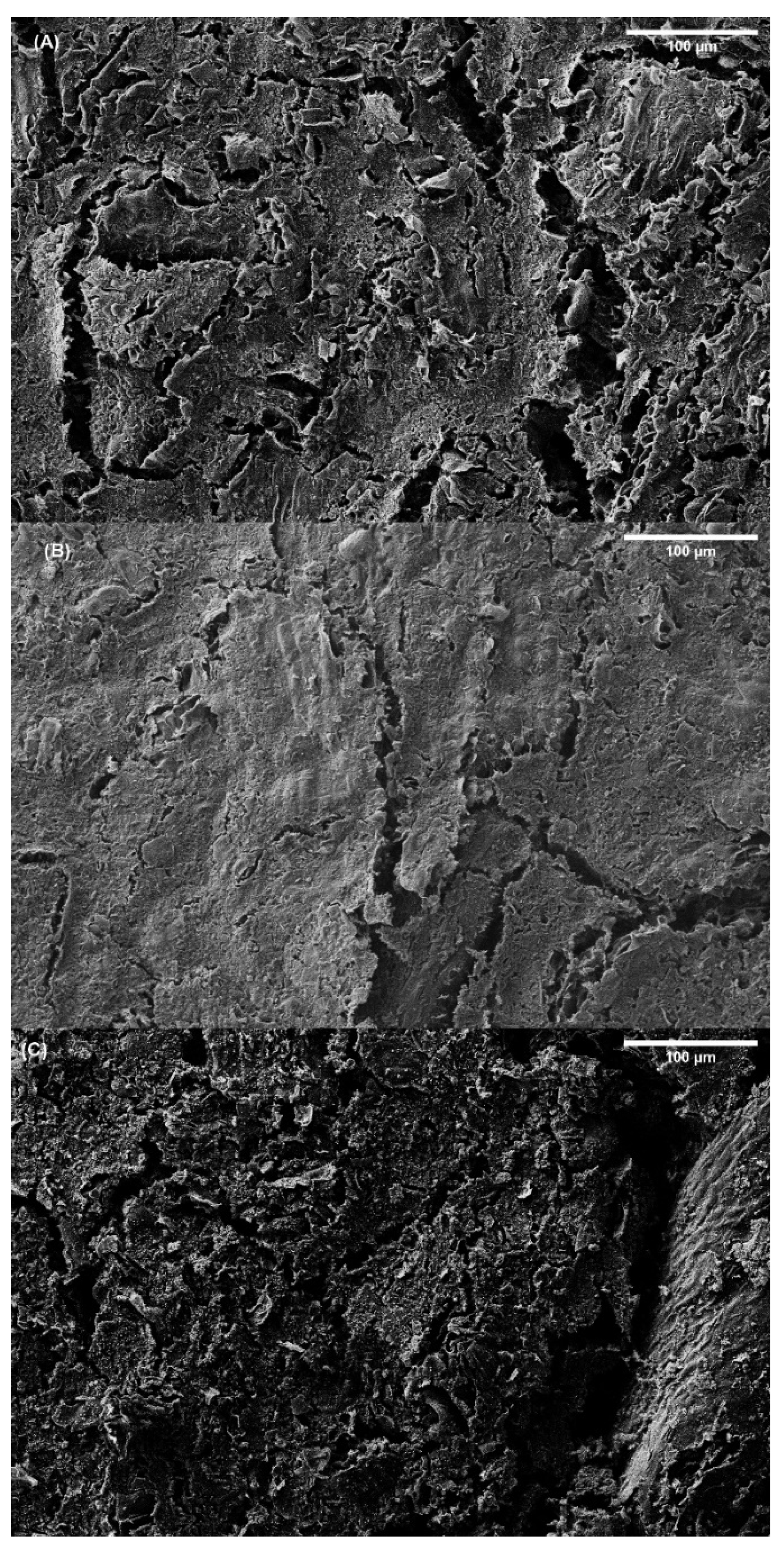 Polymers 14 00355 g011