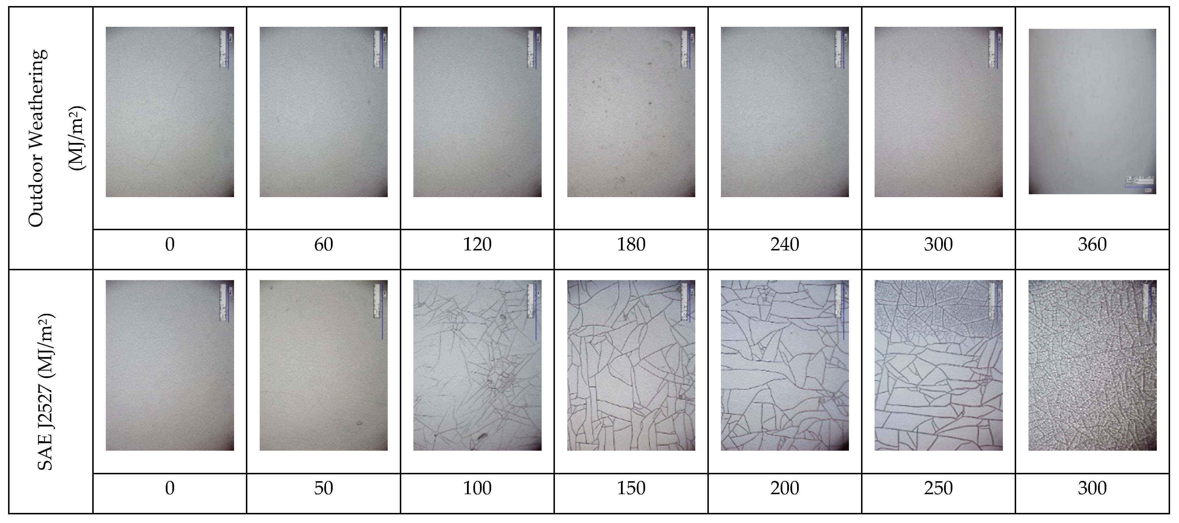 Polymers 14 00357 g022 Polymers 14 00357 g022