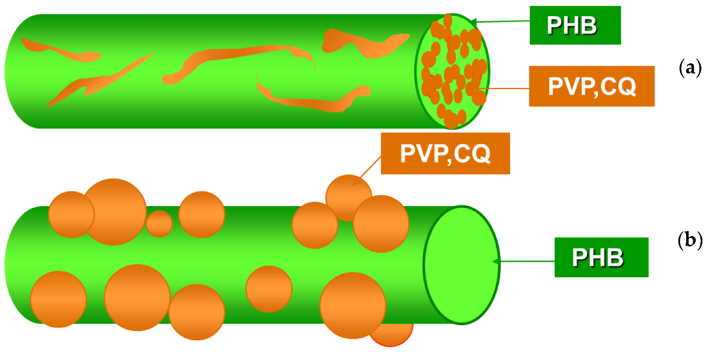 Polymers 14 00367 g001