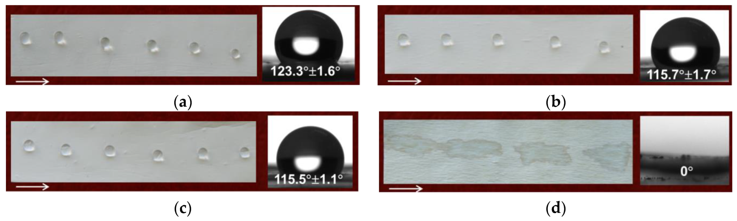 Polymers 14 00367 g004