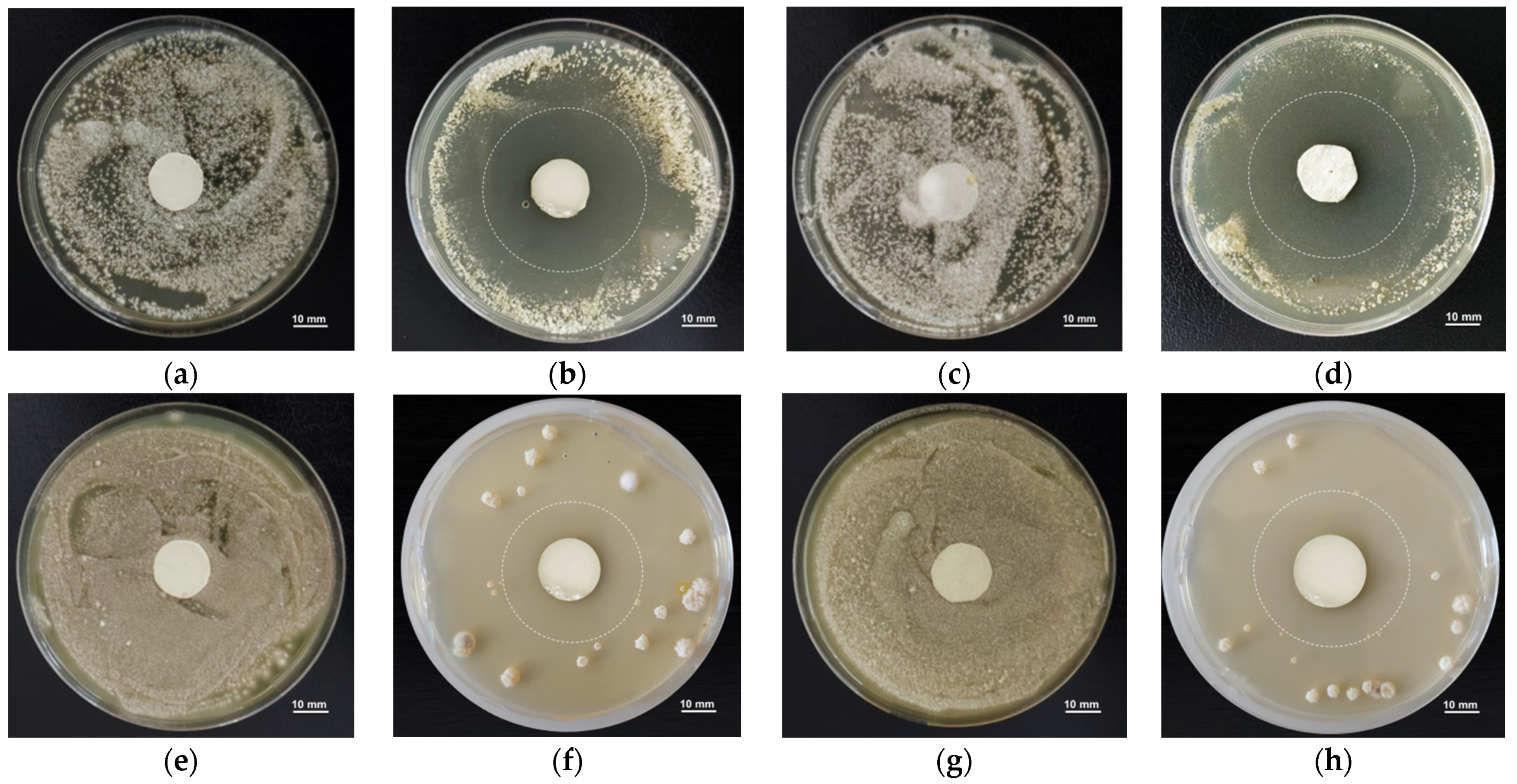 Polymers 14 00367 g009