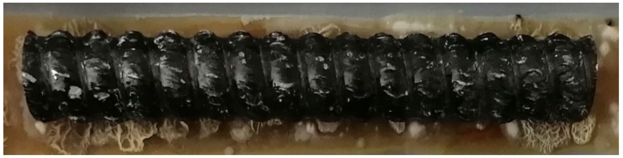 Polymers 14 00369 g003 550