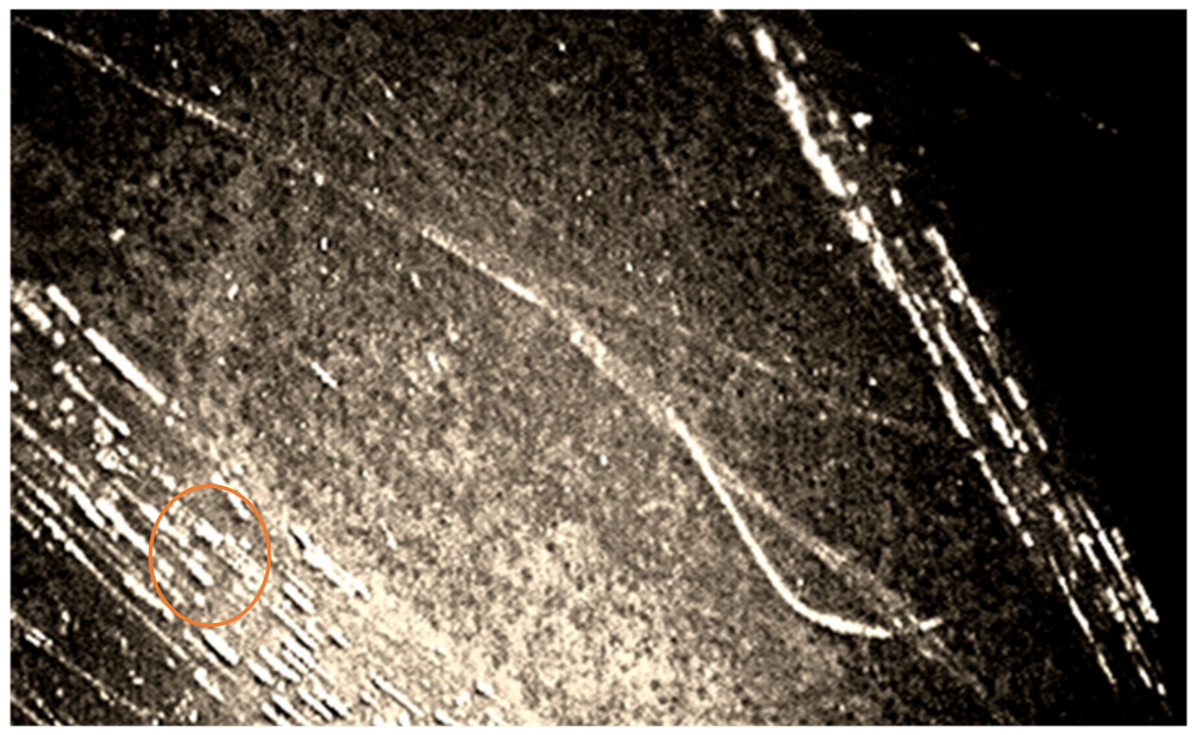 Polymers 14 00369 g004 550