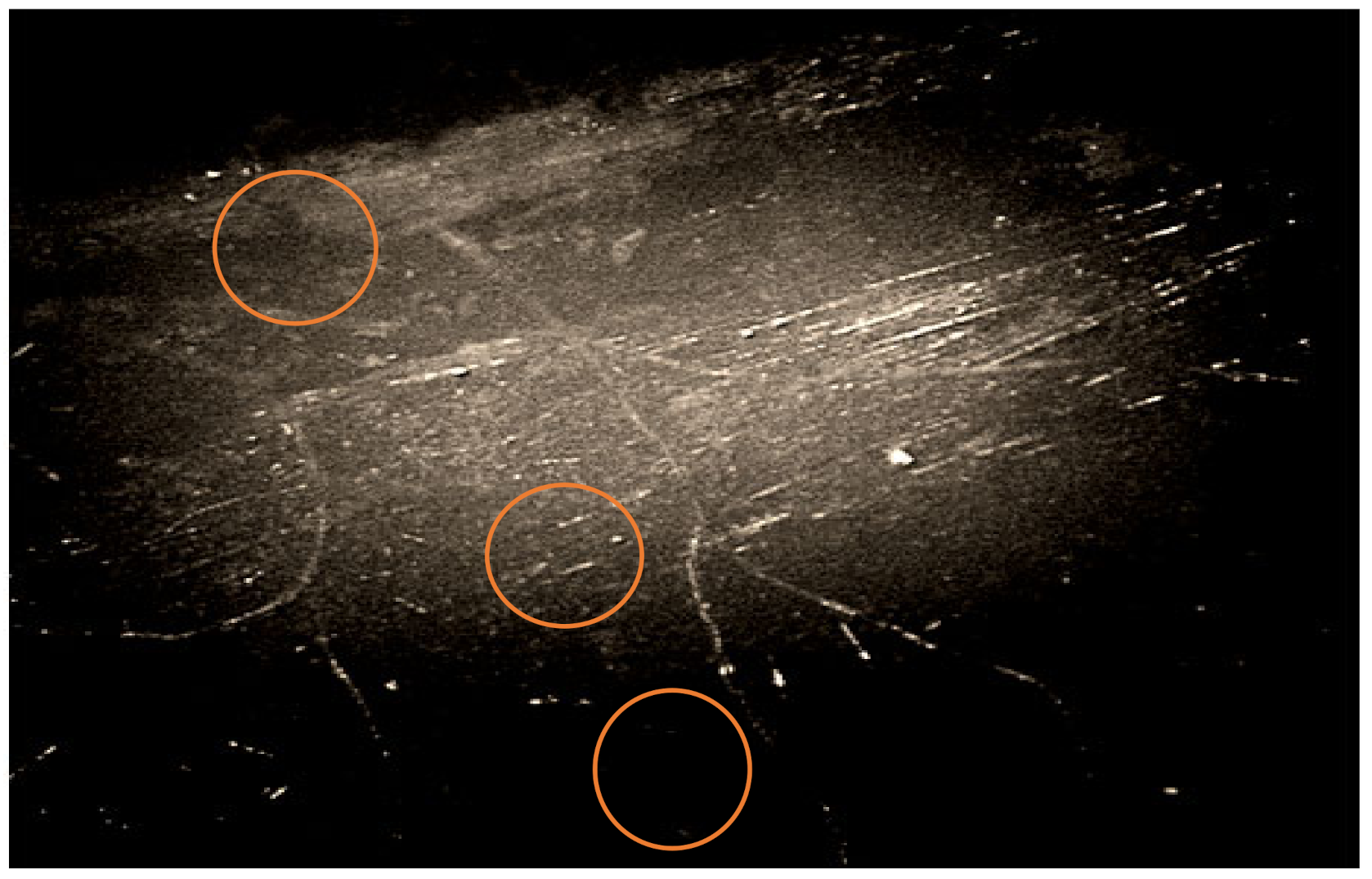 Polymers 14 00369 g005 550
