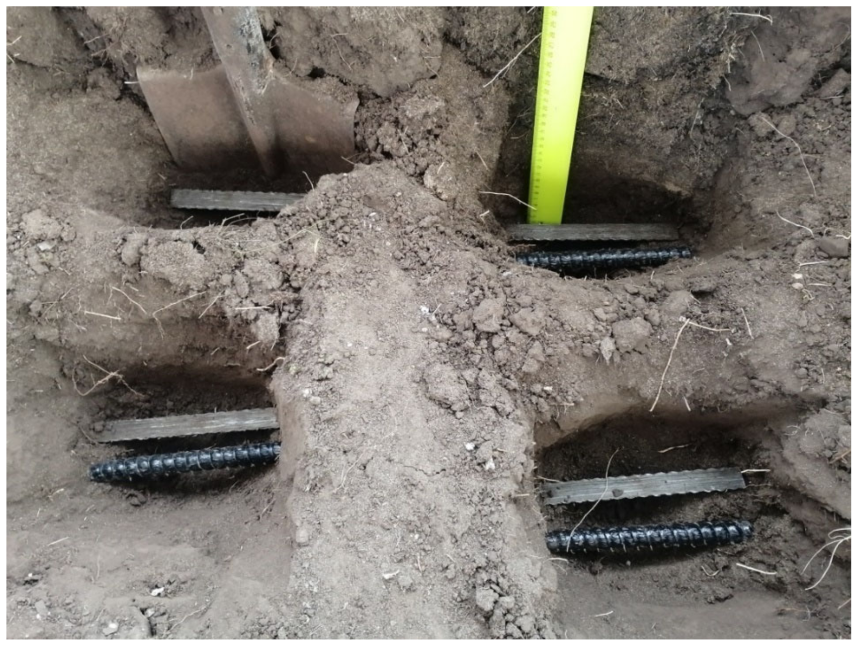 Polymers 14 00369 g006 550