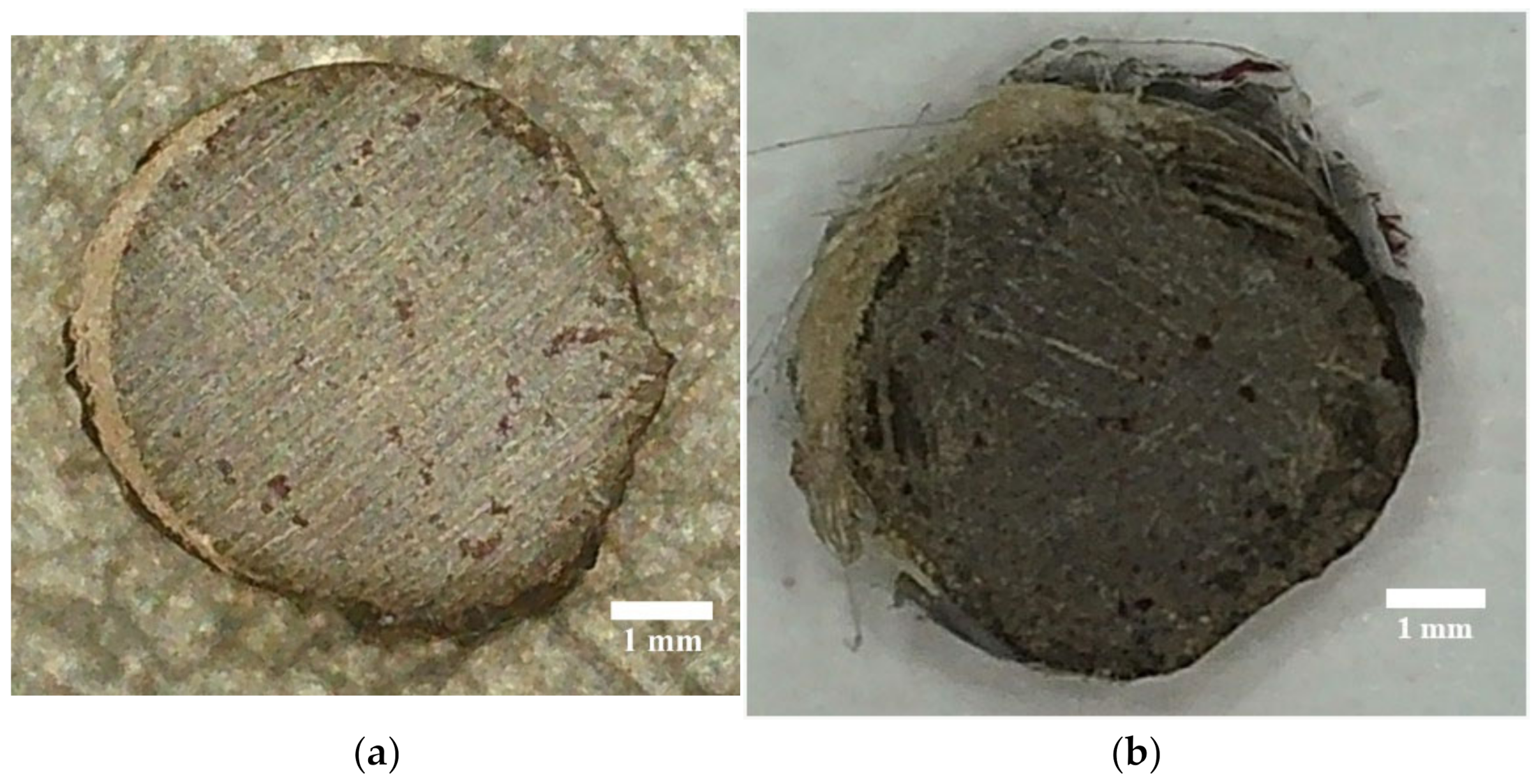 Polymers 14 00369 g008 550