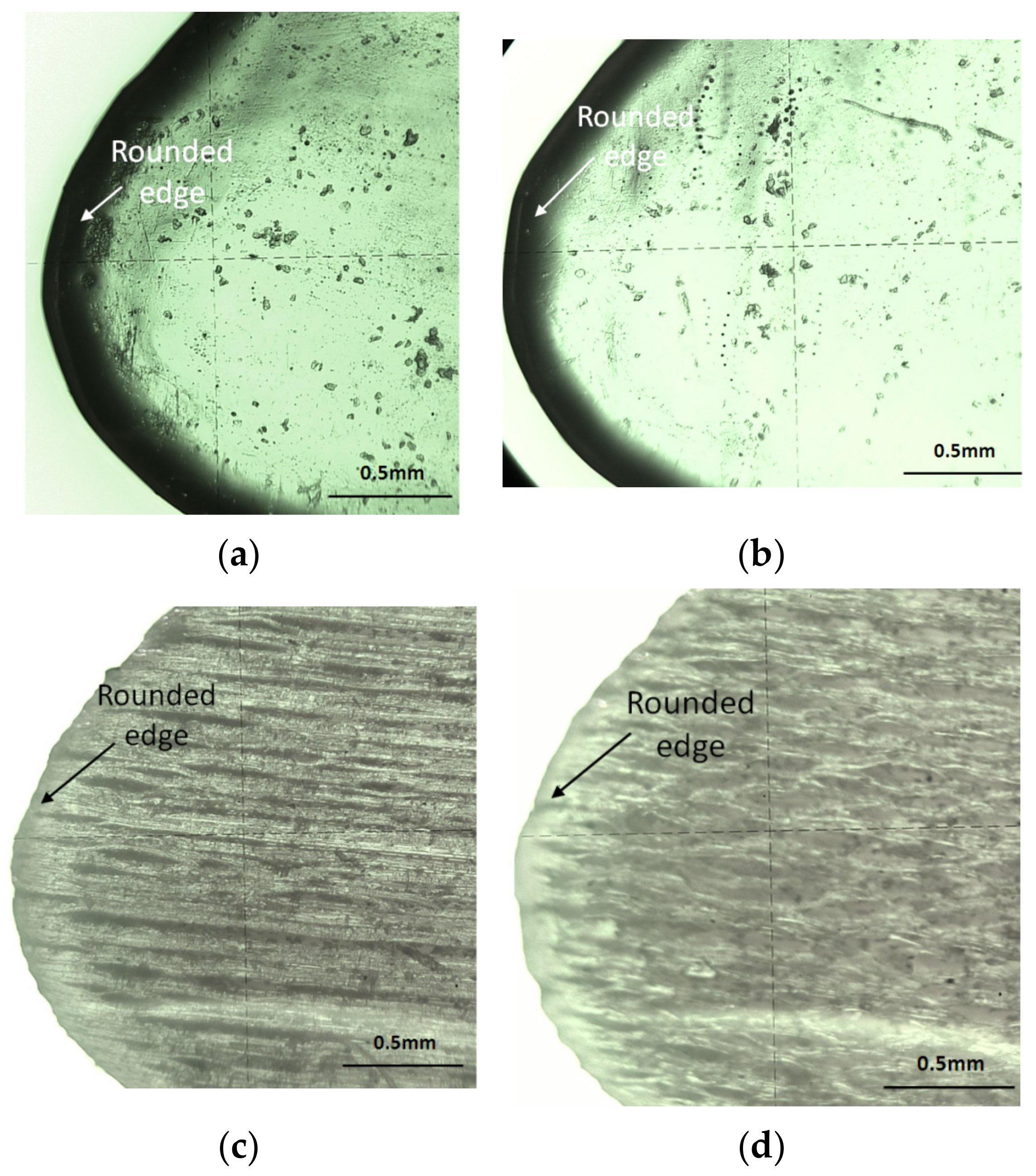 Polymers 14 00371 g019 550