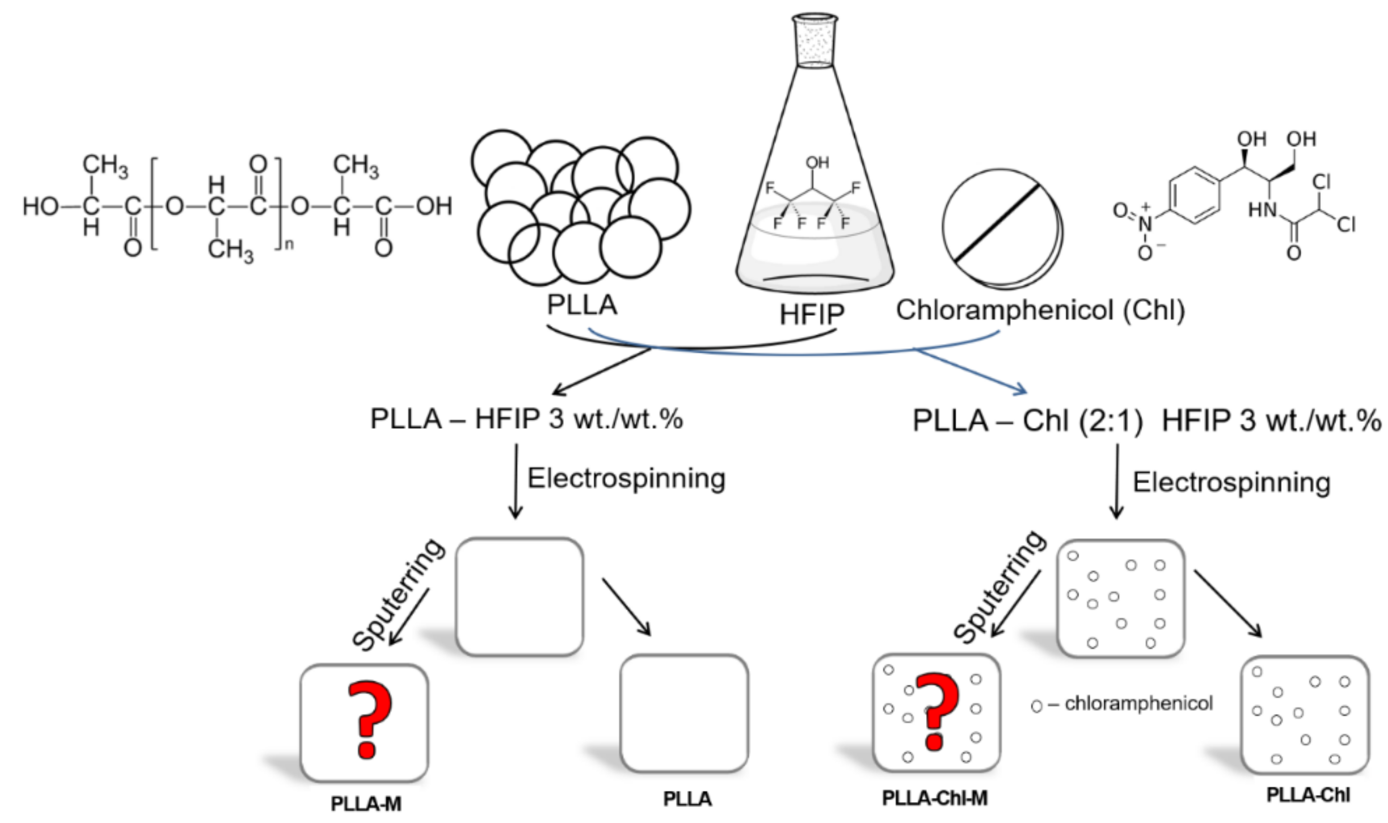 Polymers 14 00373 g001