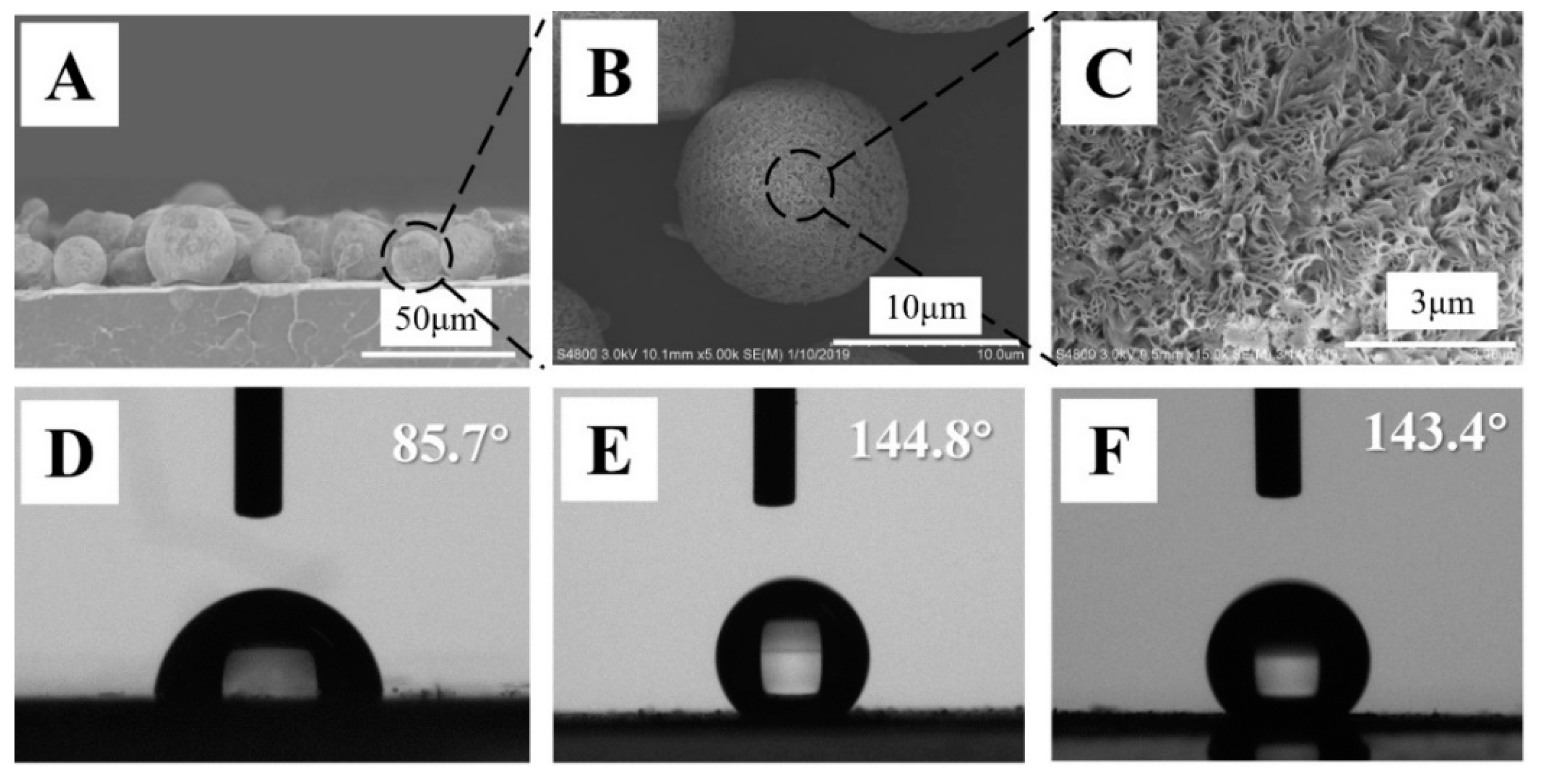 Polymers 14 00374 g001