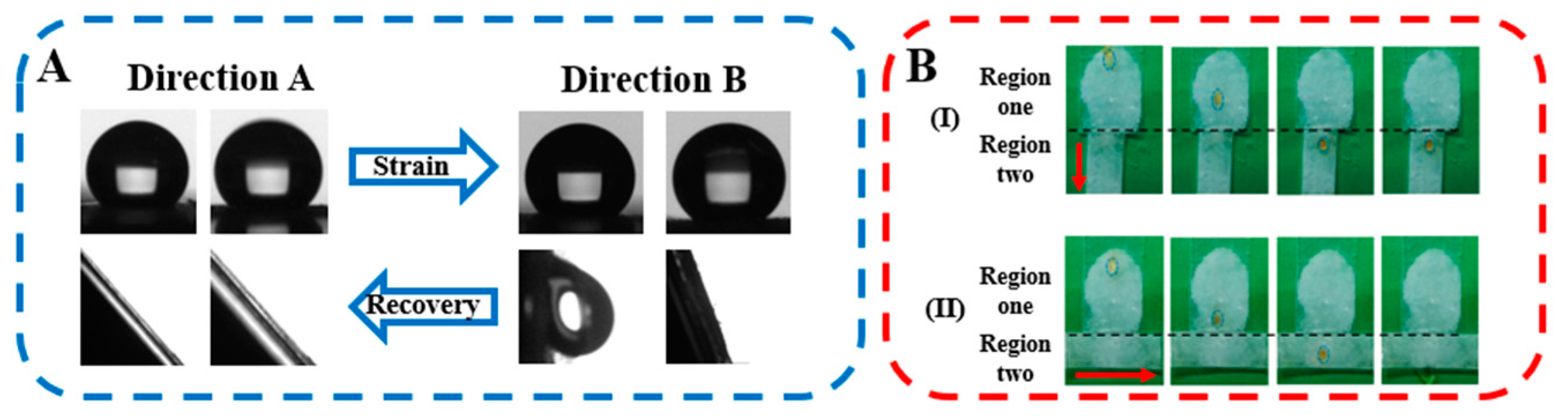 Polymers 14 00374 g004