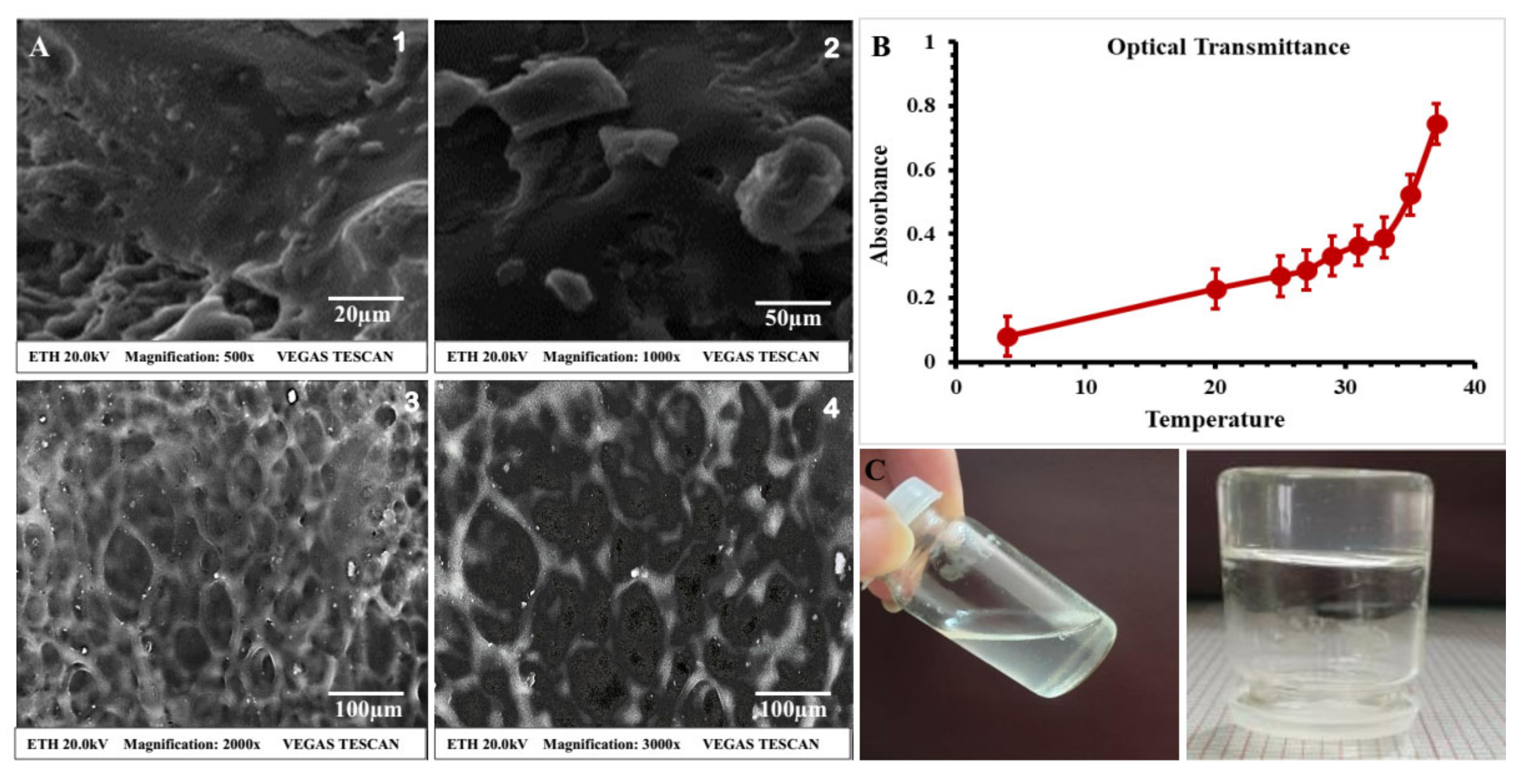 Polymers 14 00376 g003