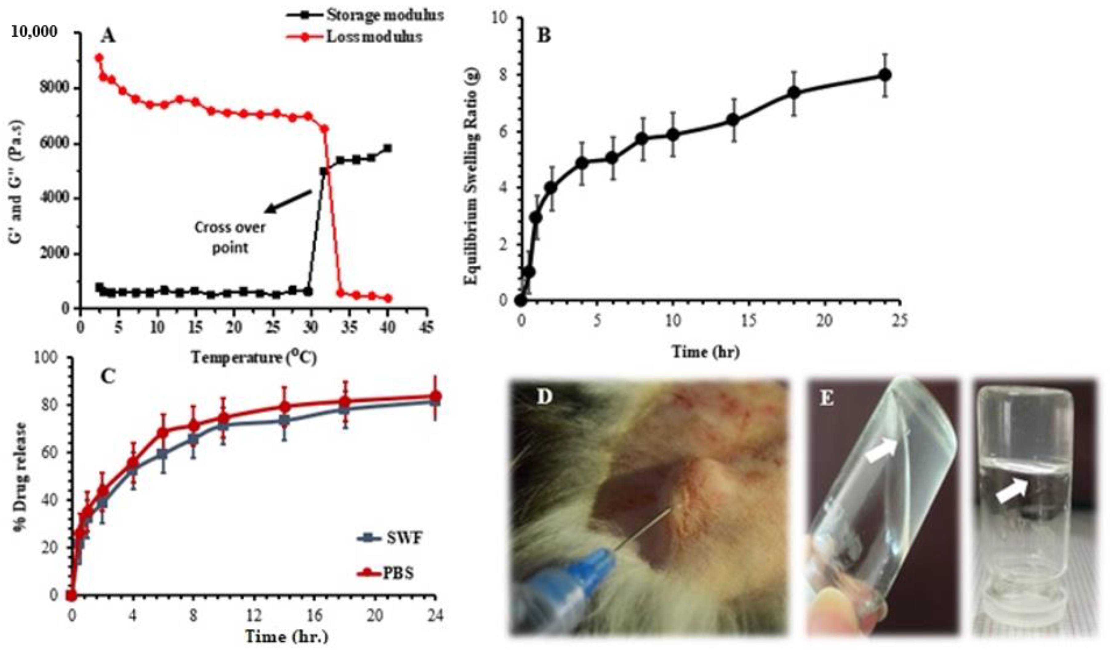 Polymers 14 00376 g004