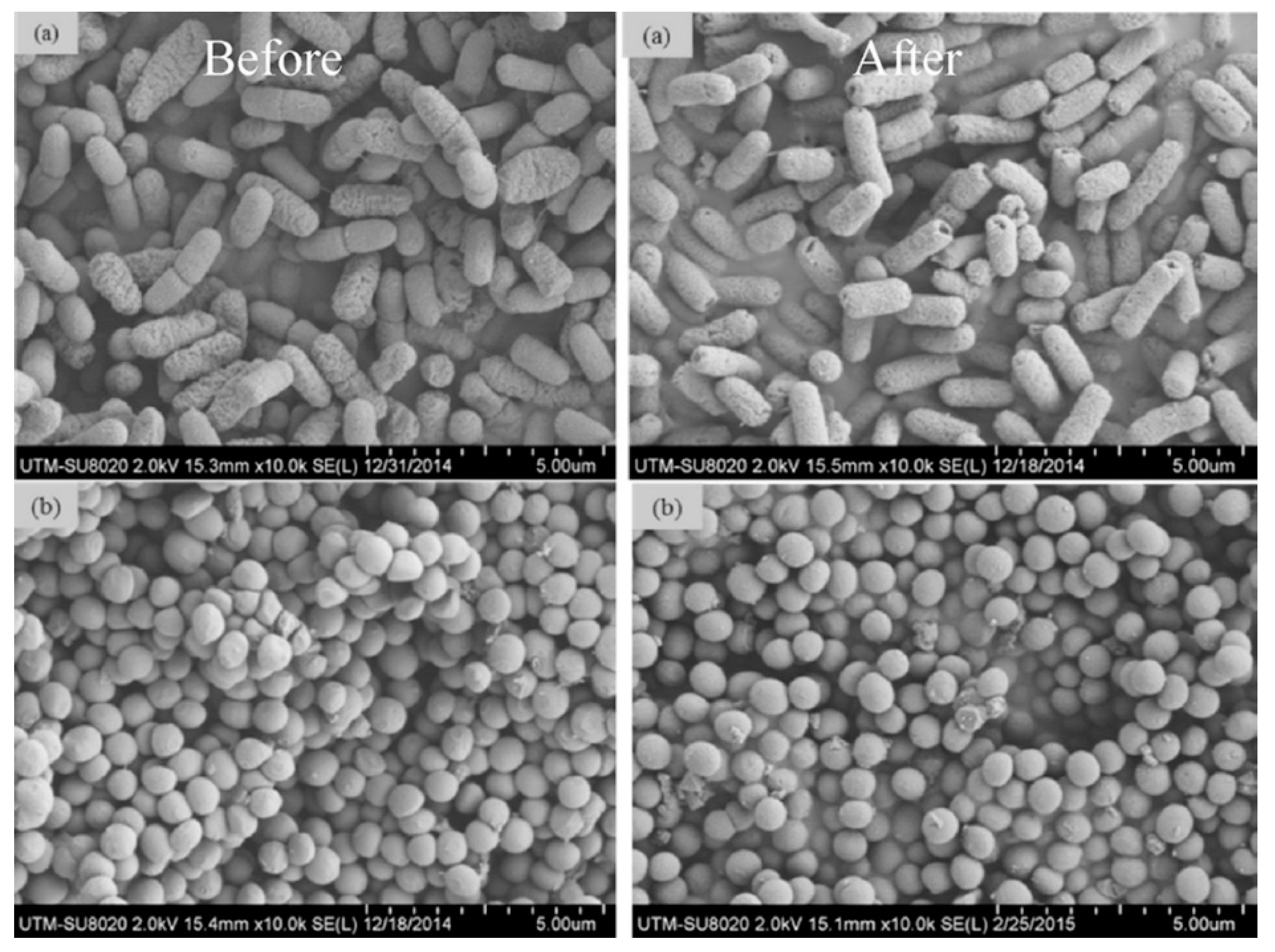 Polymers 14 00378 g012
