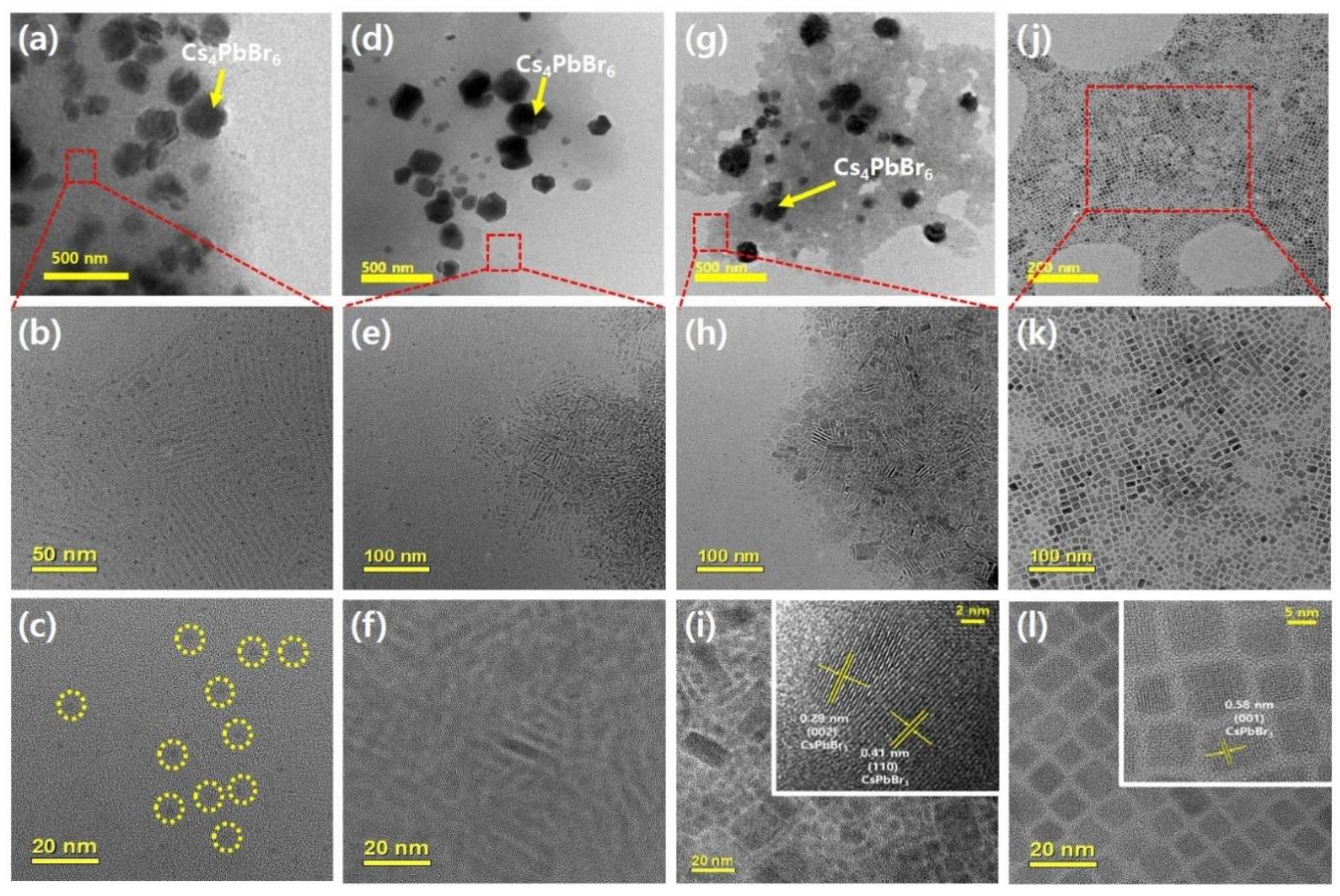 Polymers 14 00381 g002 550