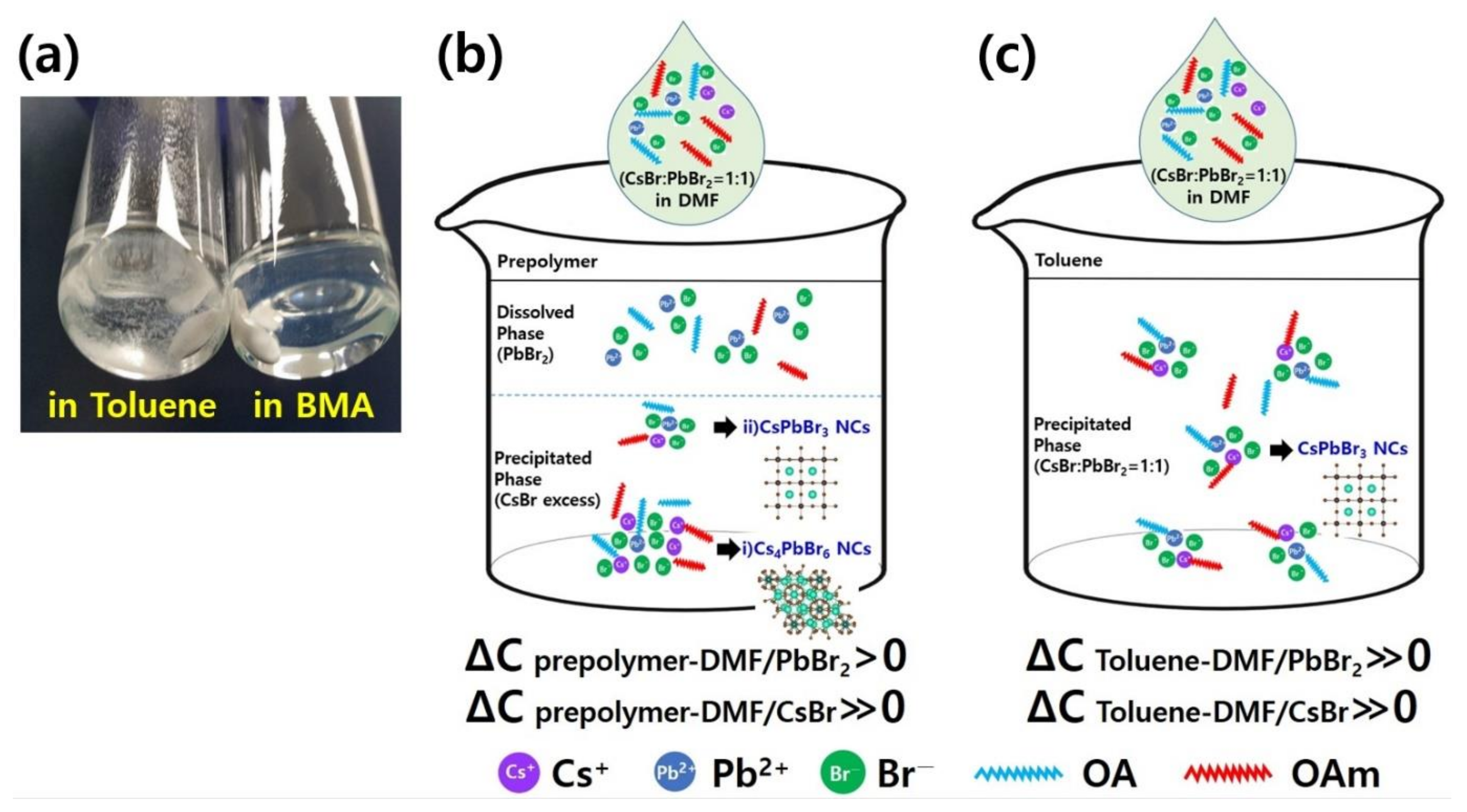 Polymers 14 00381 g003 550
