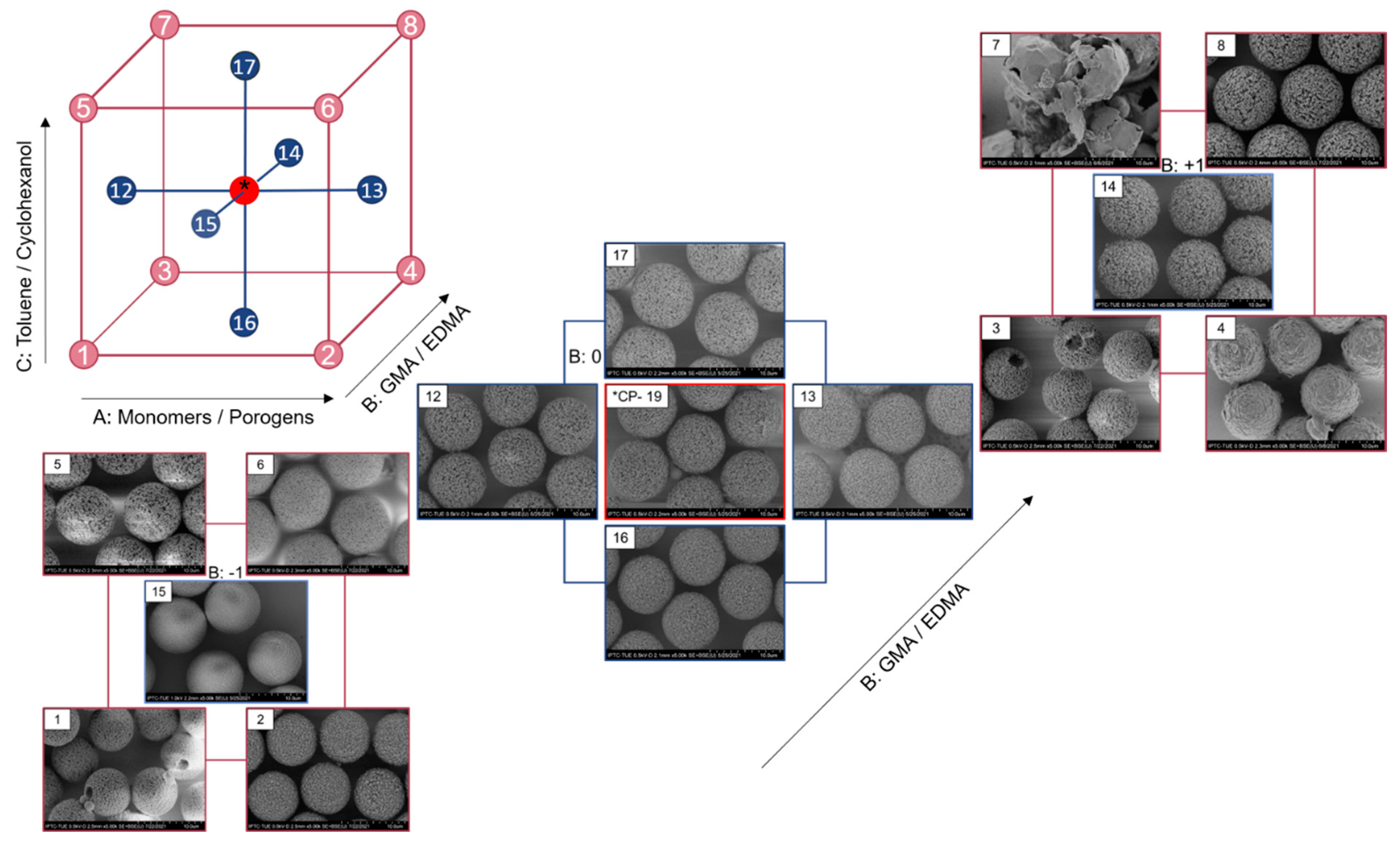Polymers 14 00382 g002 550