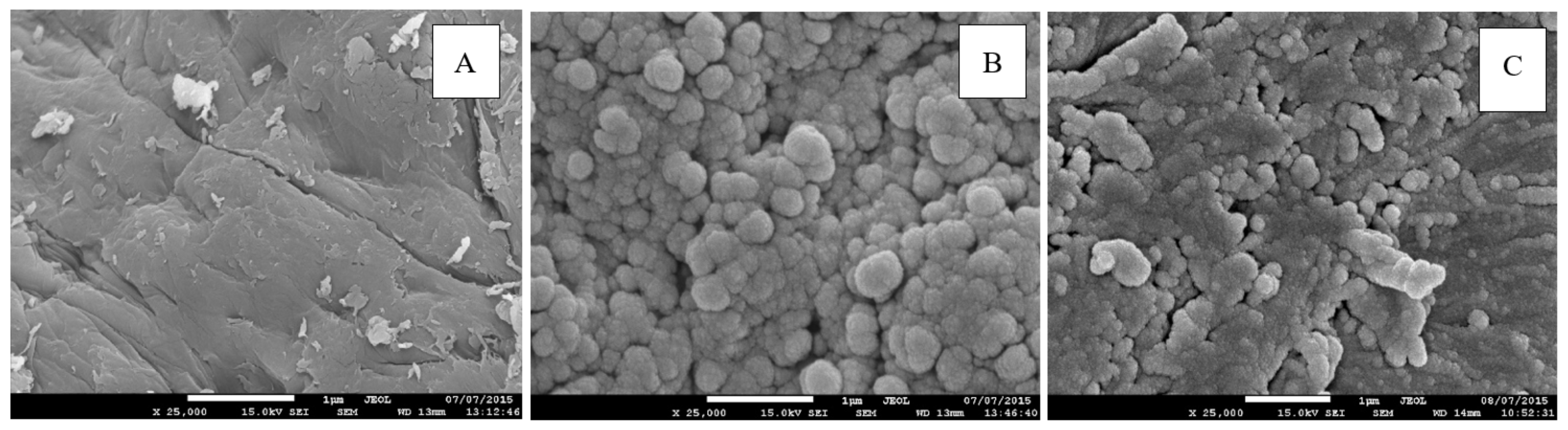 Polymers 14 00386 g003