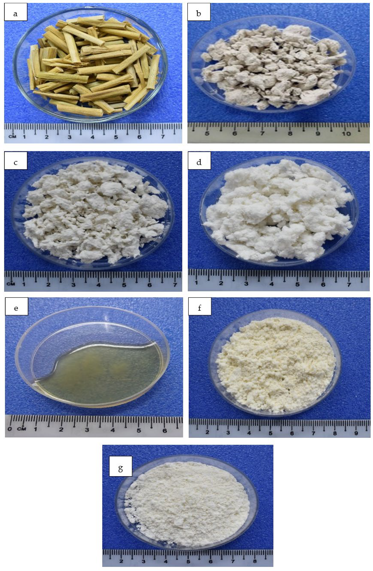 Polymers 14 00387 g002