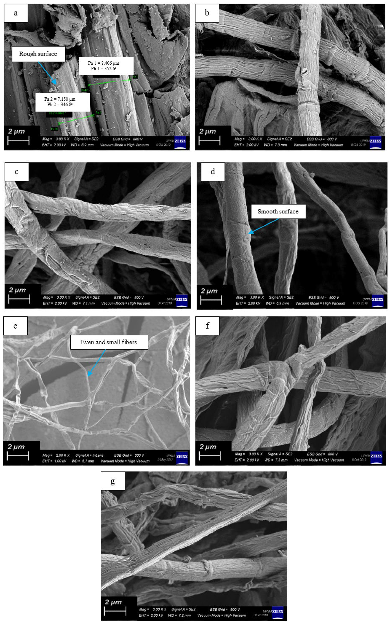 Polymers 14 00387 g003