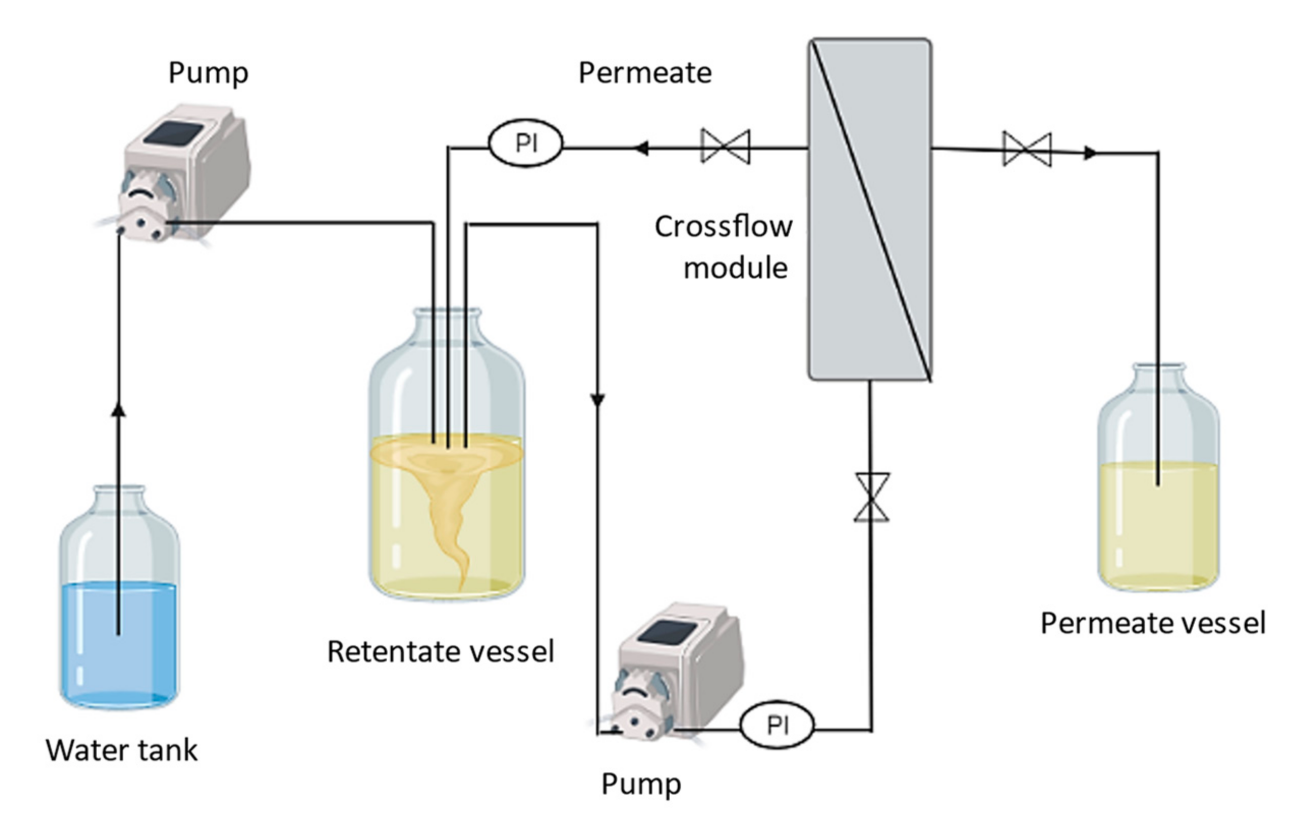 Polymers 14 00390 g001