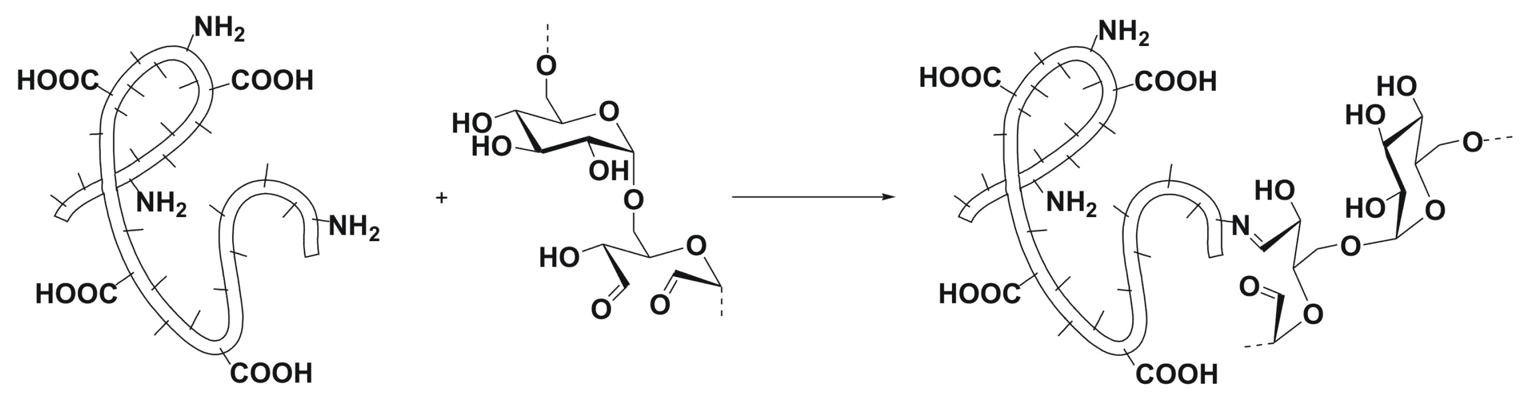 Polymers 14 00391 g001