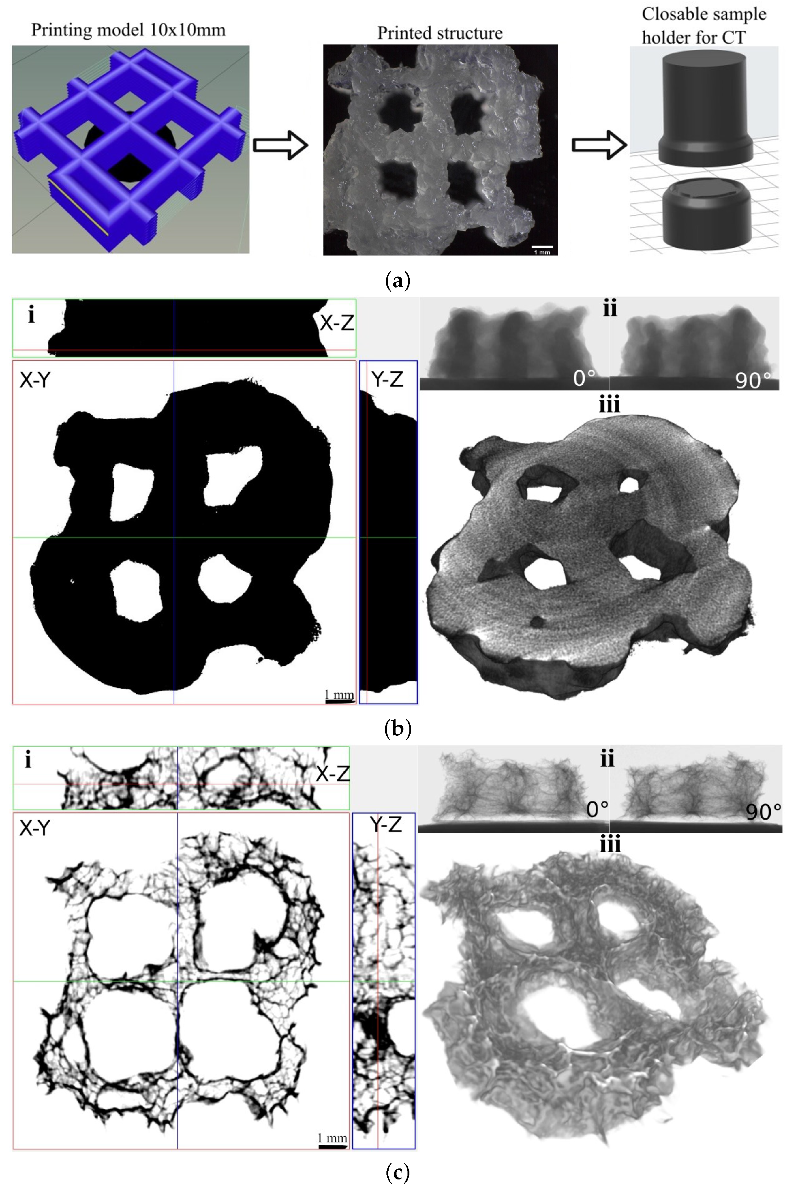 Polymers 14 00391 g003
