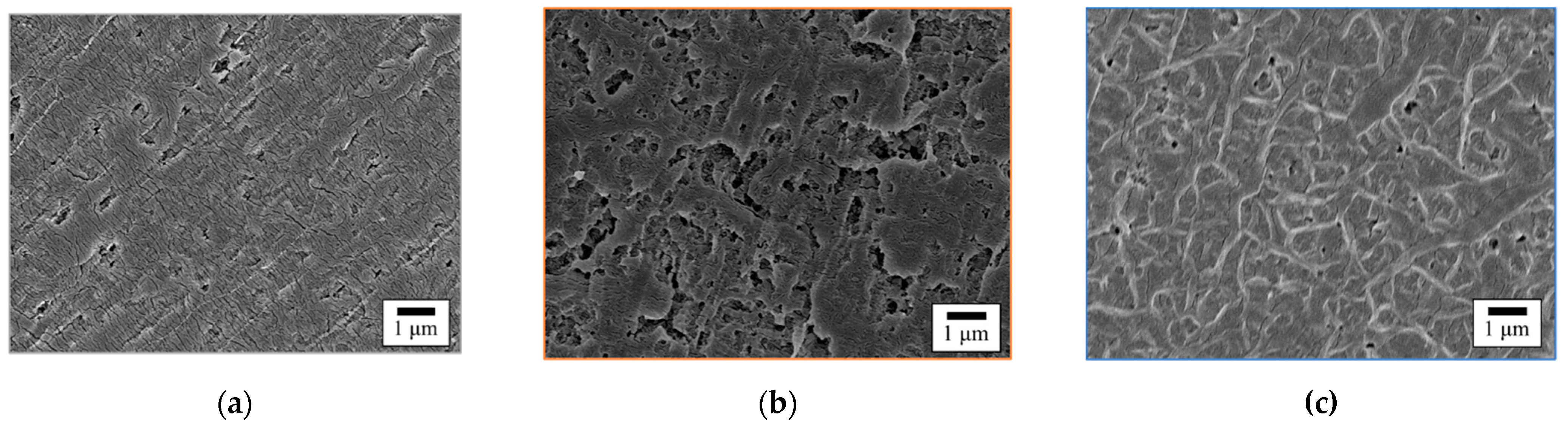 Polymers 14 00394 g010