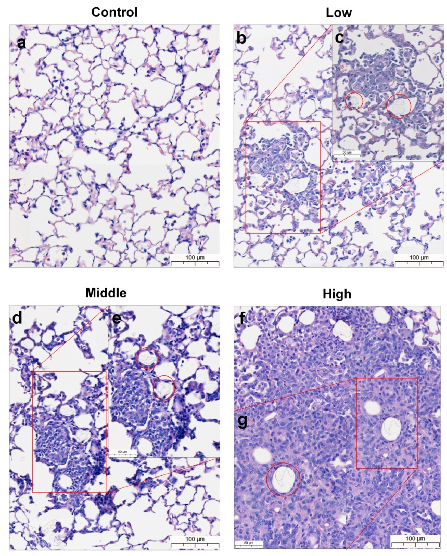 Polymers 14 00402 g004 550