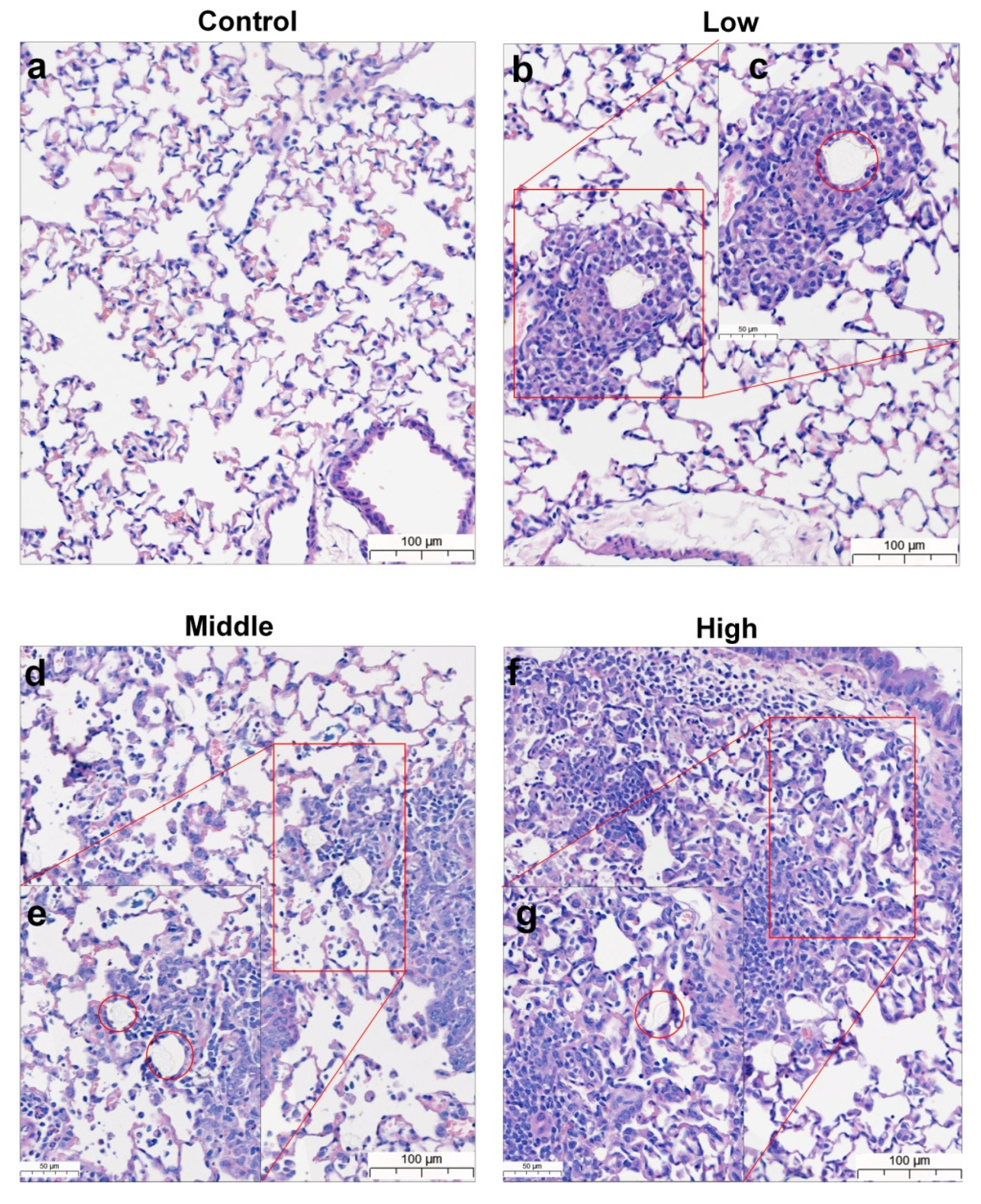 Polymers 14 00402 g005 550