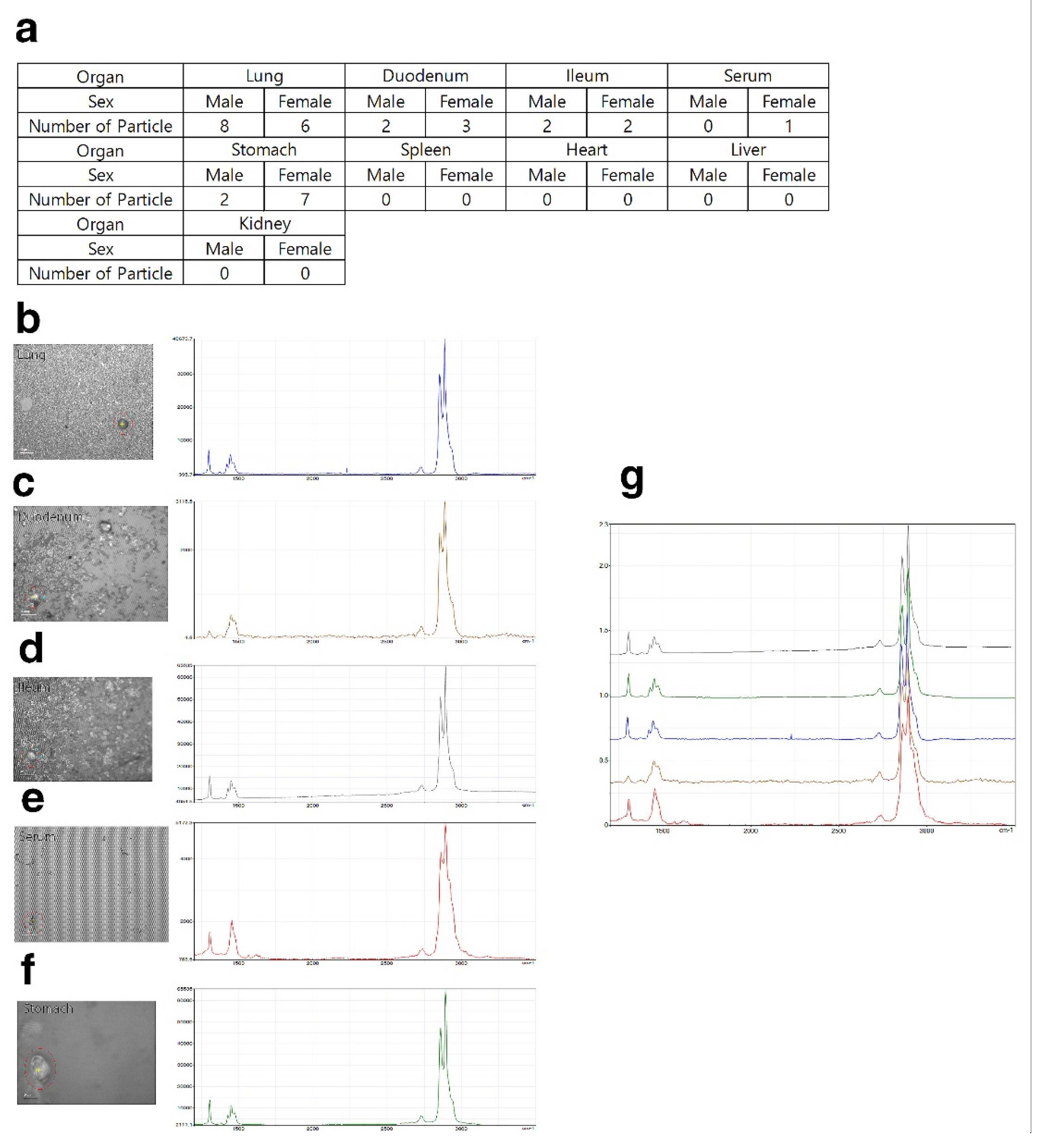 Polymers 14 00402 g006 550