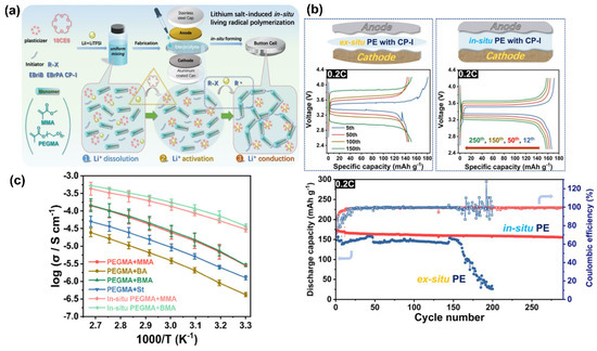 Designing Versatile Polymers for Lithium-Ion Battery Applications: A Review