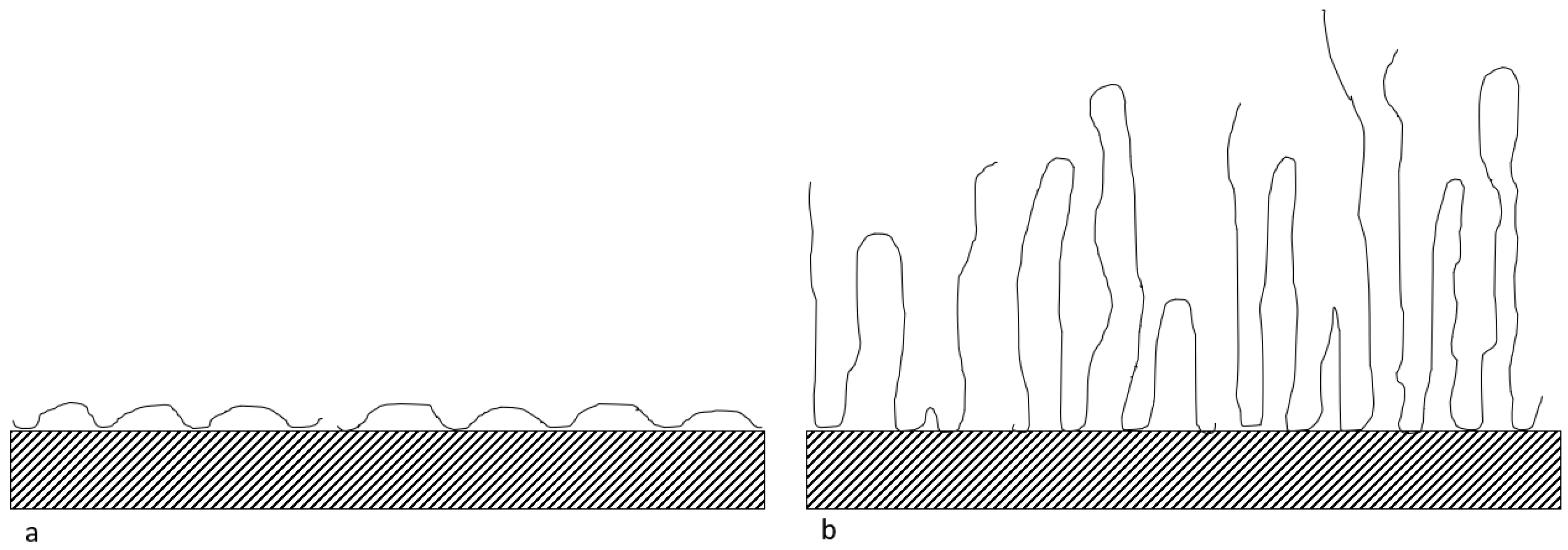 Polymers 14 00405 g003