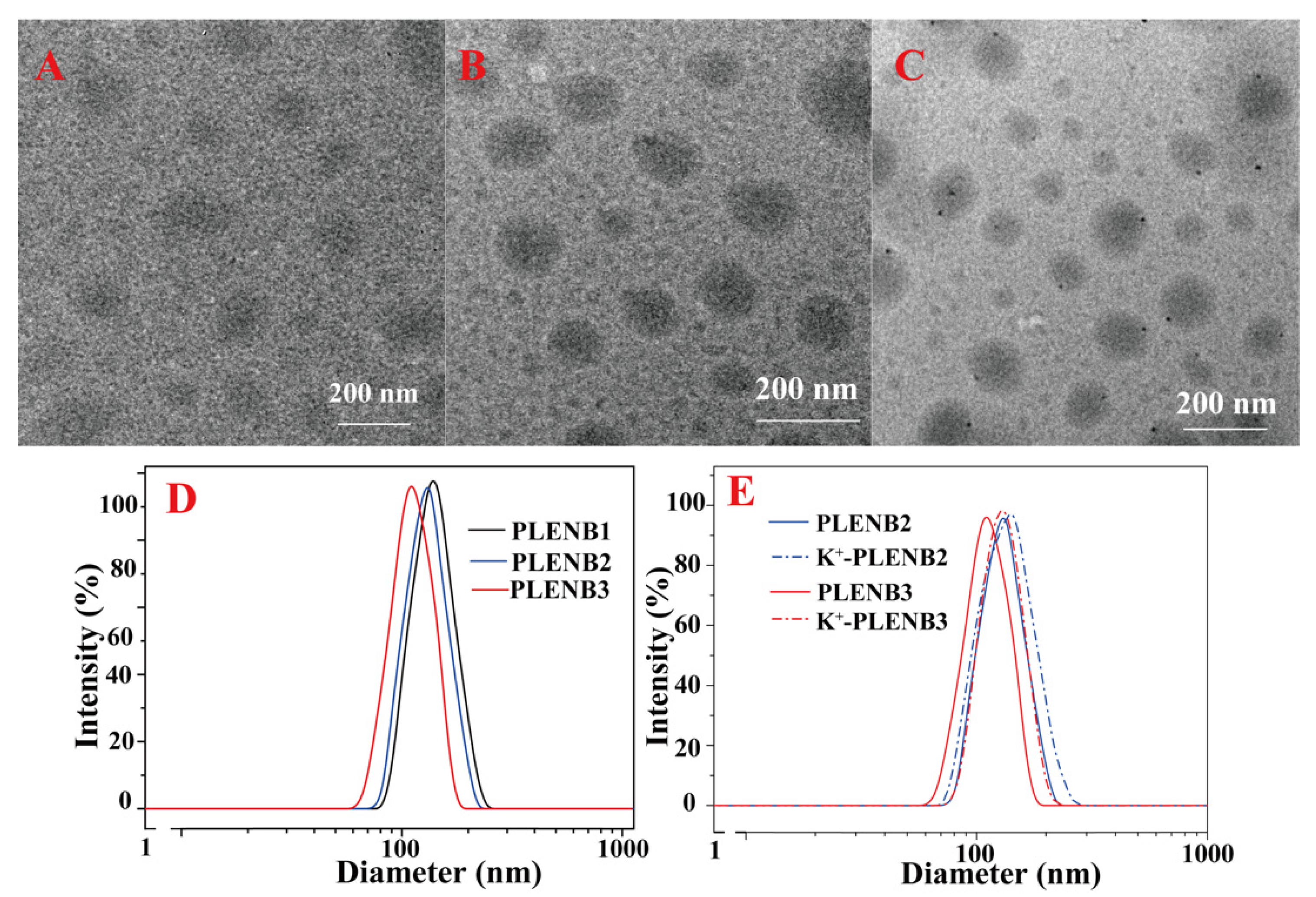 Polymers 14 00406 g005