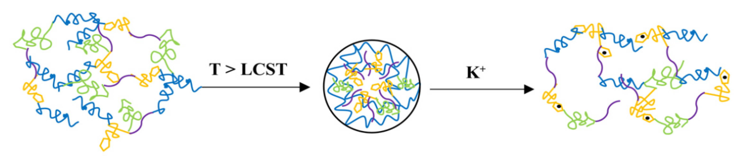 Polymers 14 00406 sch002
