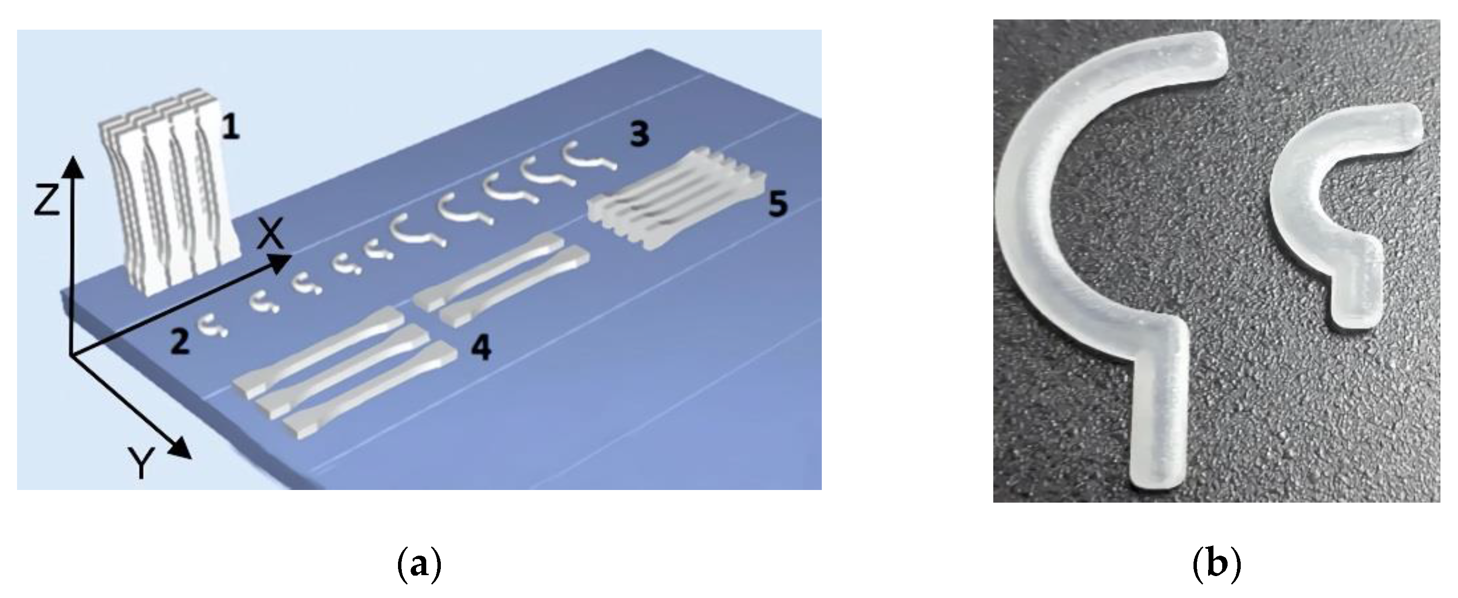 Polymers 14 00408 g003