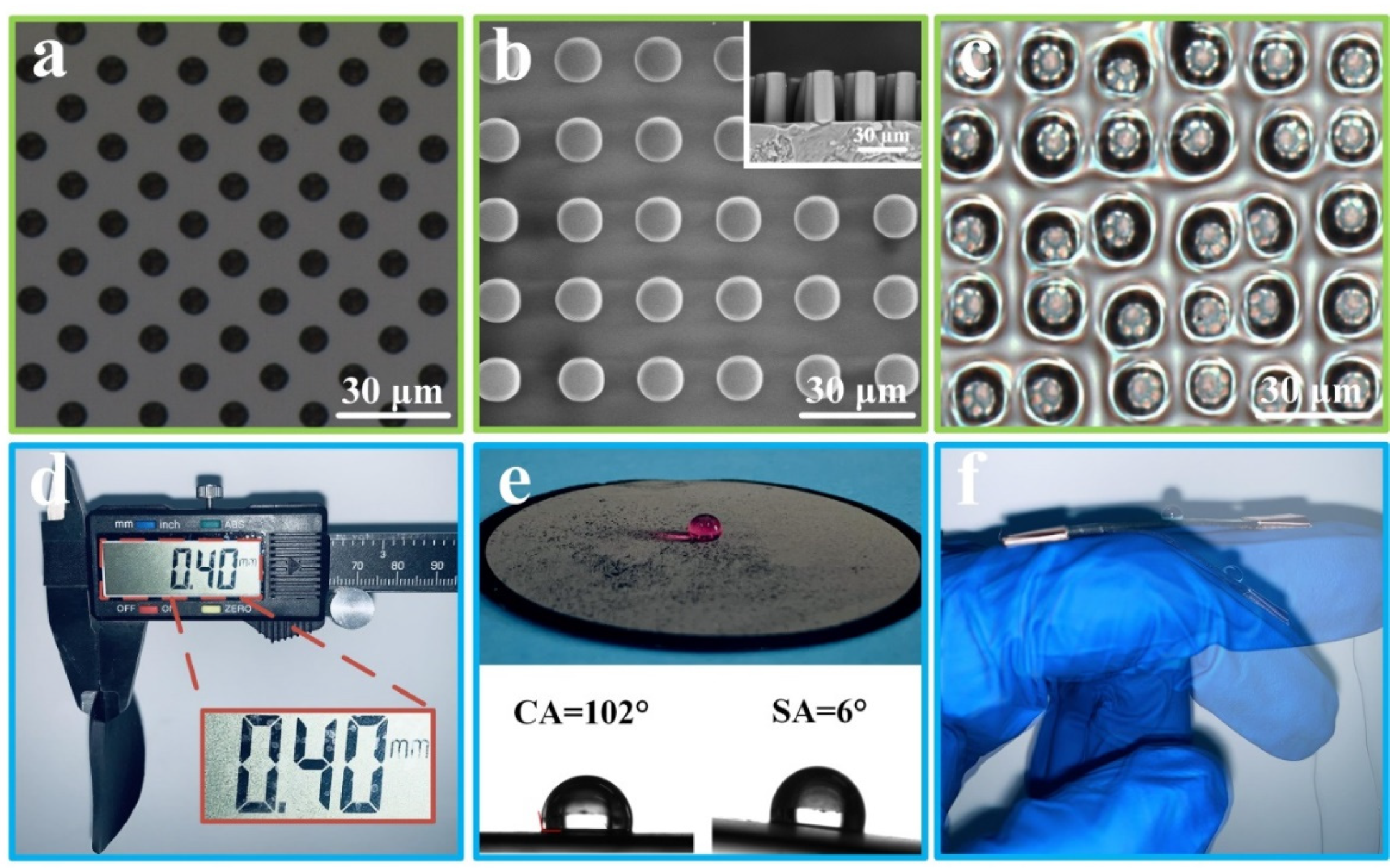 Polymers 14 00409 g002