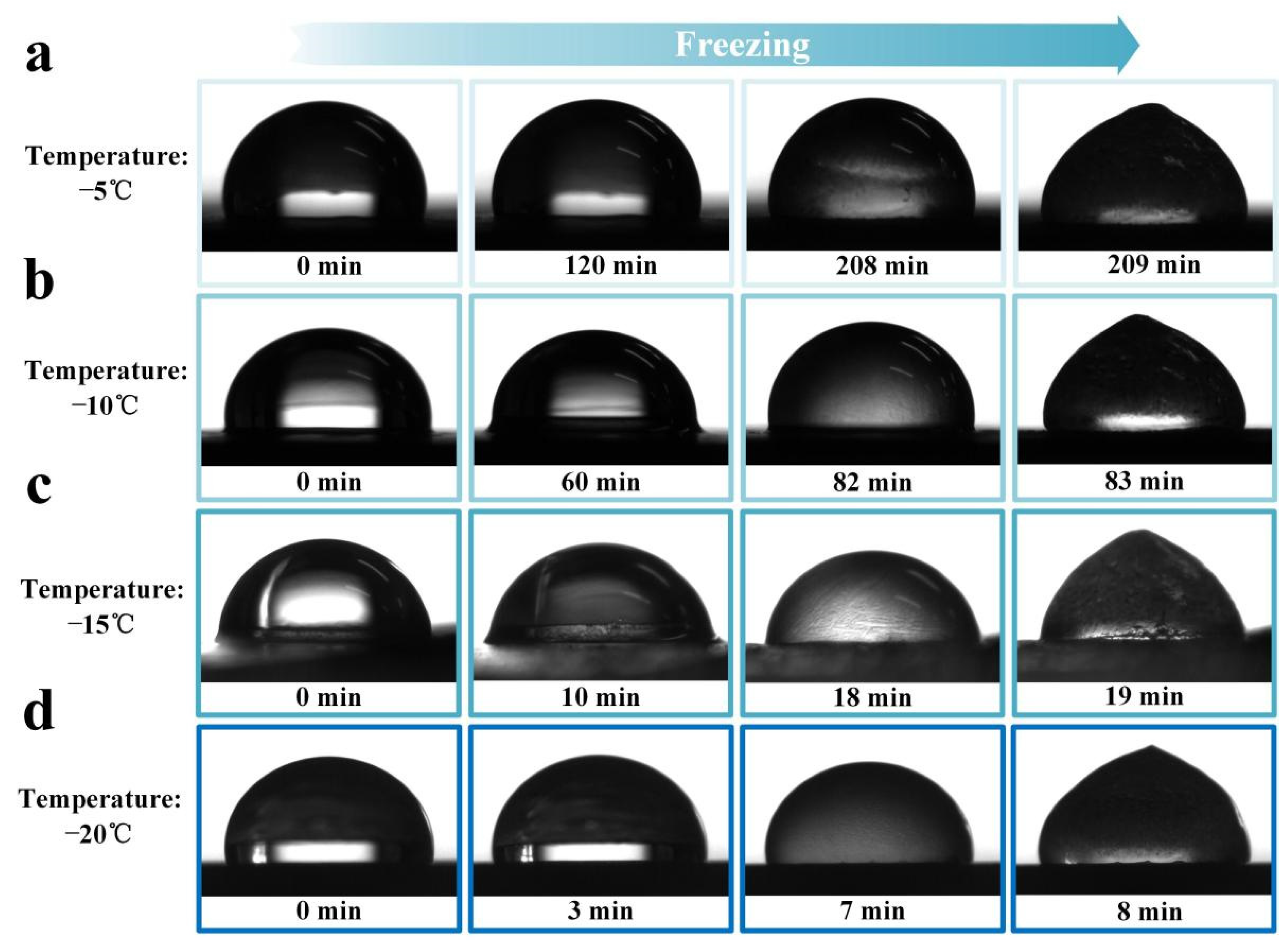 Polymers 14 00409 g004