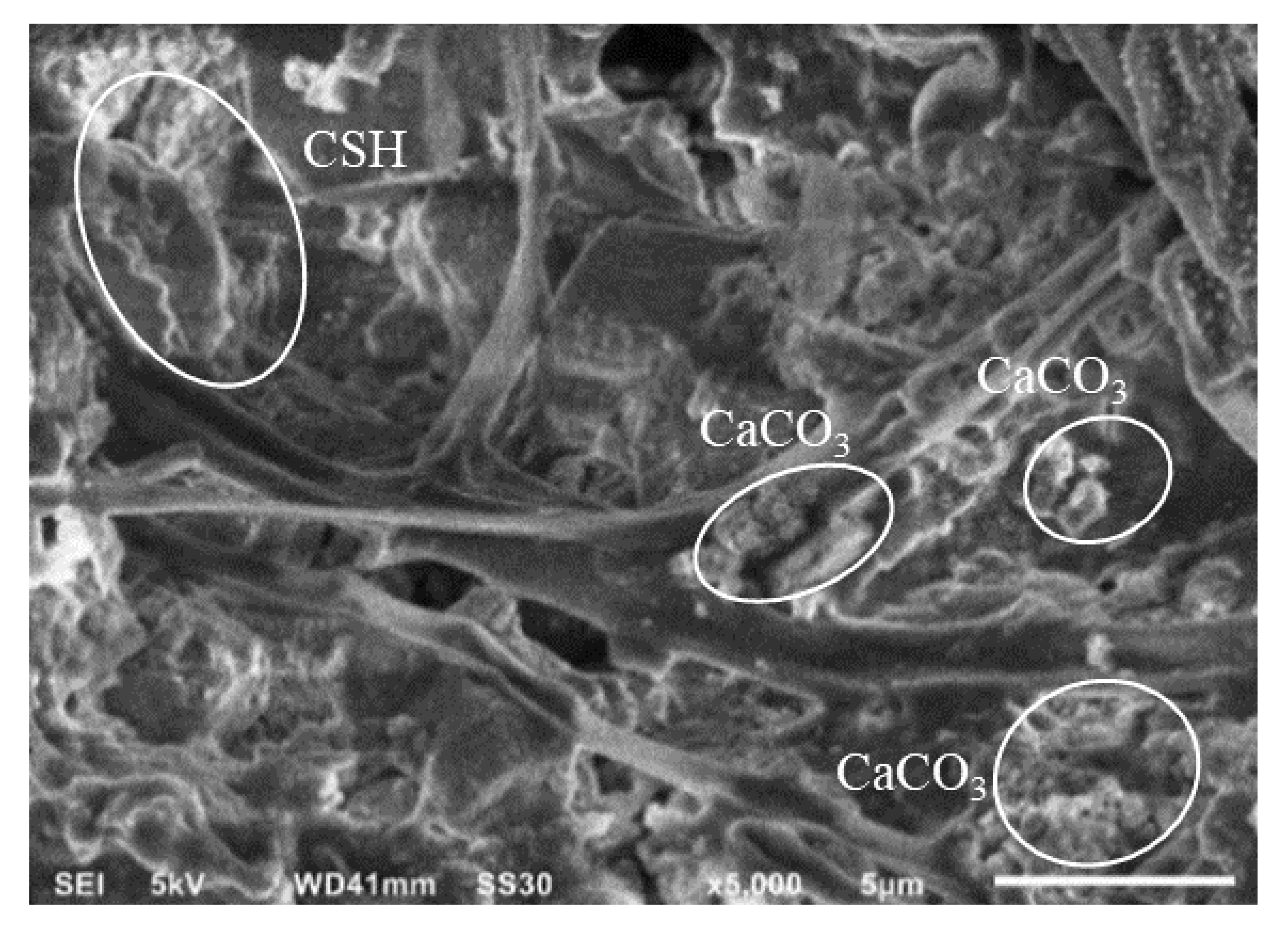 Polymers 14 00410 g014