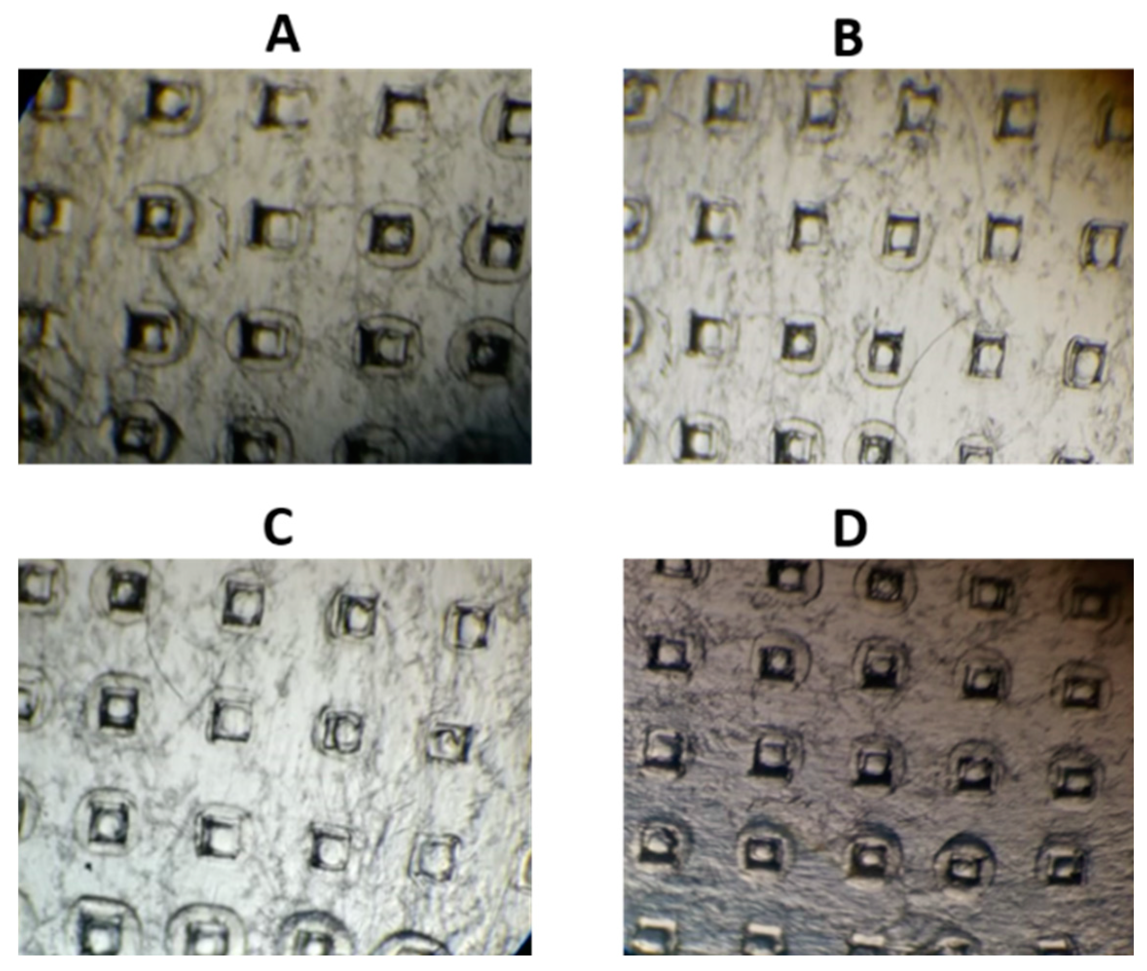 Polymers 14 00415 g013
