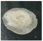 Polymers 14 00415 i002