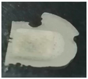 Polymers 14 00415 i005