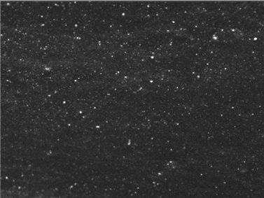 Polymers 14 00418 i002