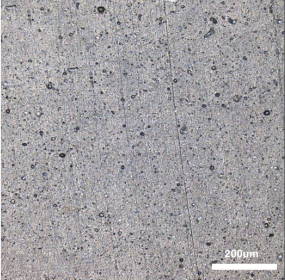 Polymers 14 00418 i004