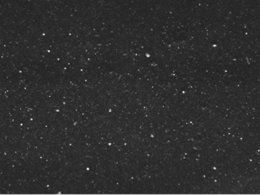 Polymers 14 00418 i005